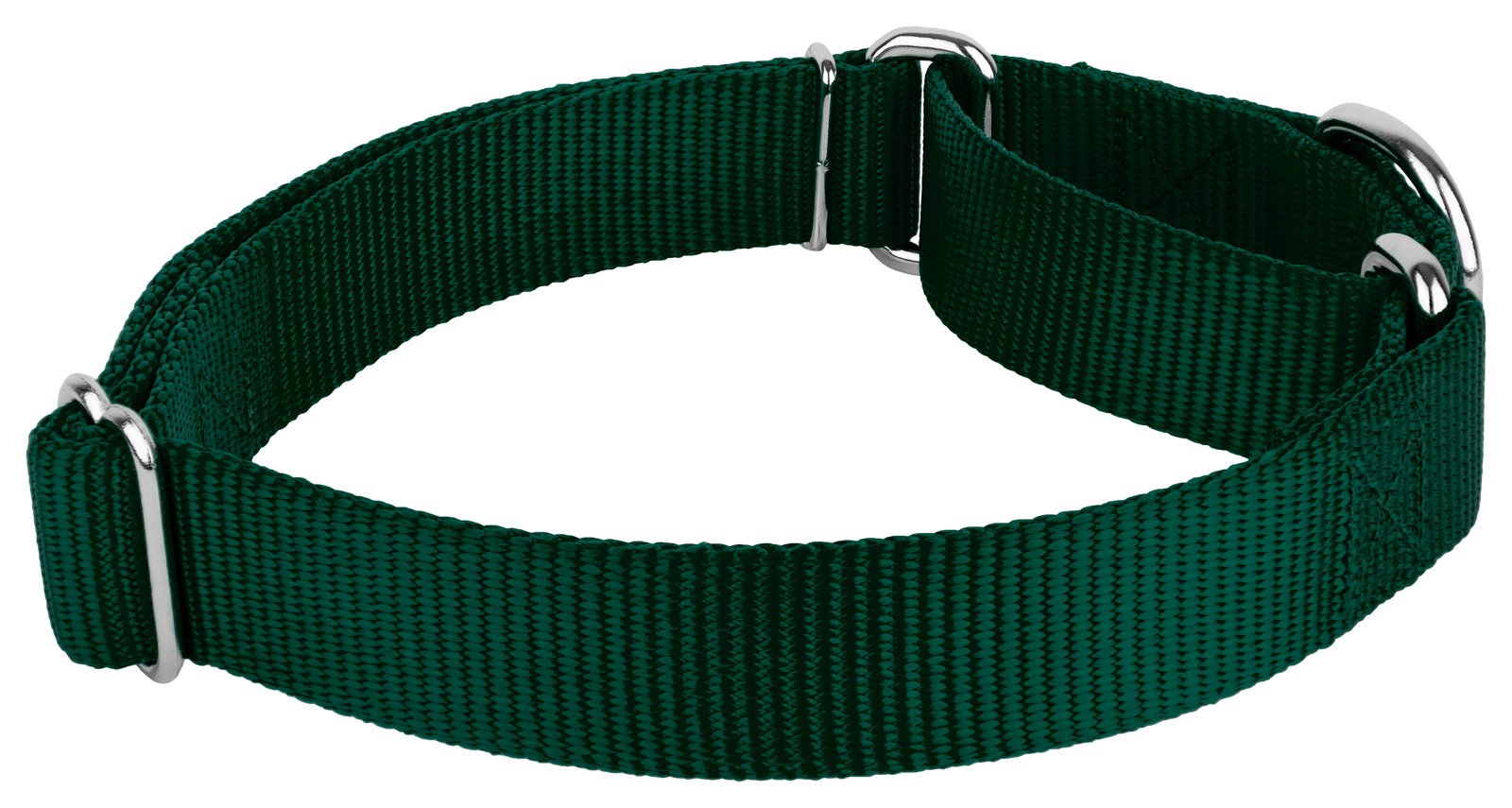 Country Brook Petz - Green Martingale Heavy Duty Nylon Dog Collar - 21 Vibrant Color Options (3/8 Inch Width, Mini)