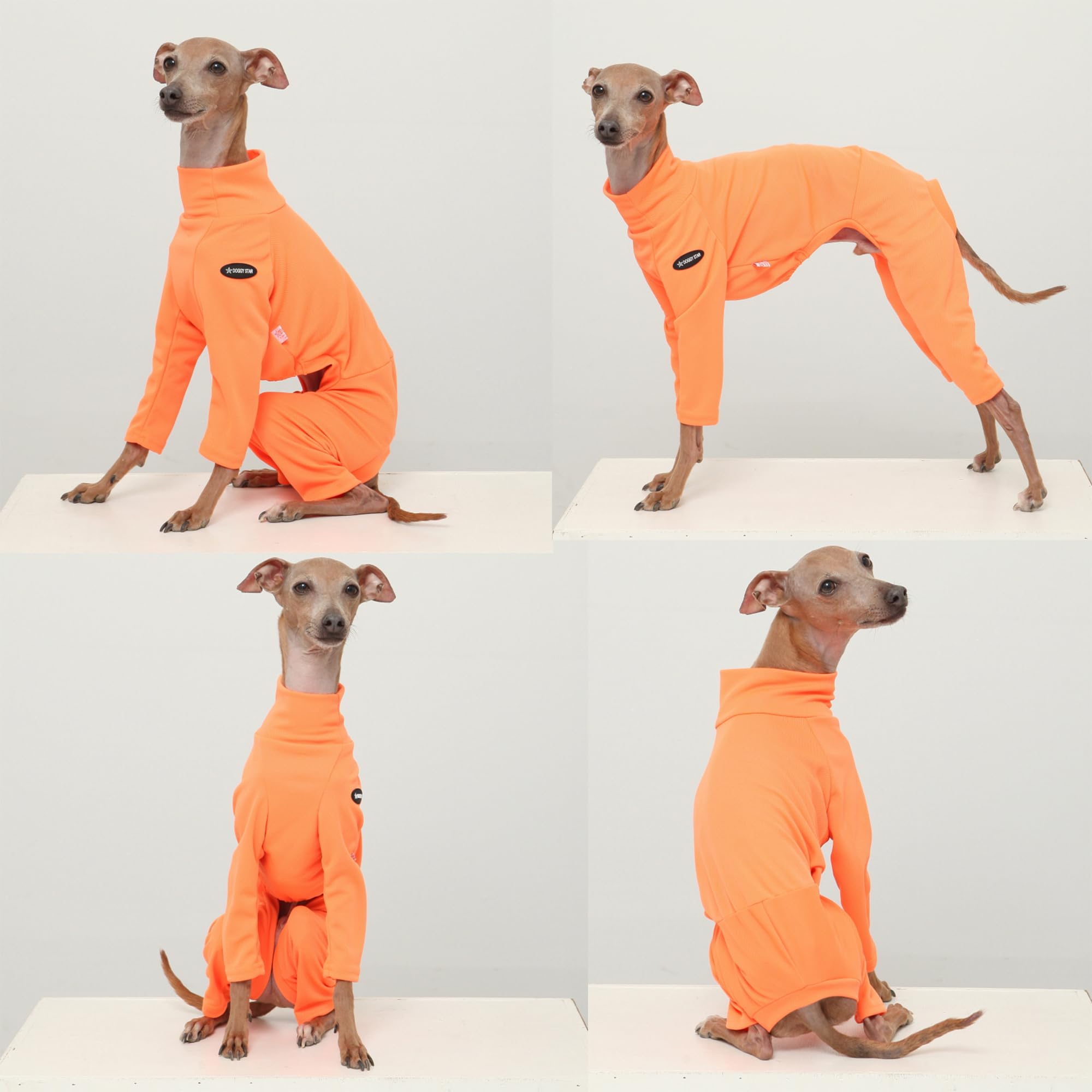 D Doggy Star Italian Greyhound Clothes Strechy Neon Onsie Spring Summer (Xl,Onsi Ne Orange)