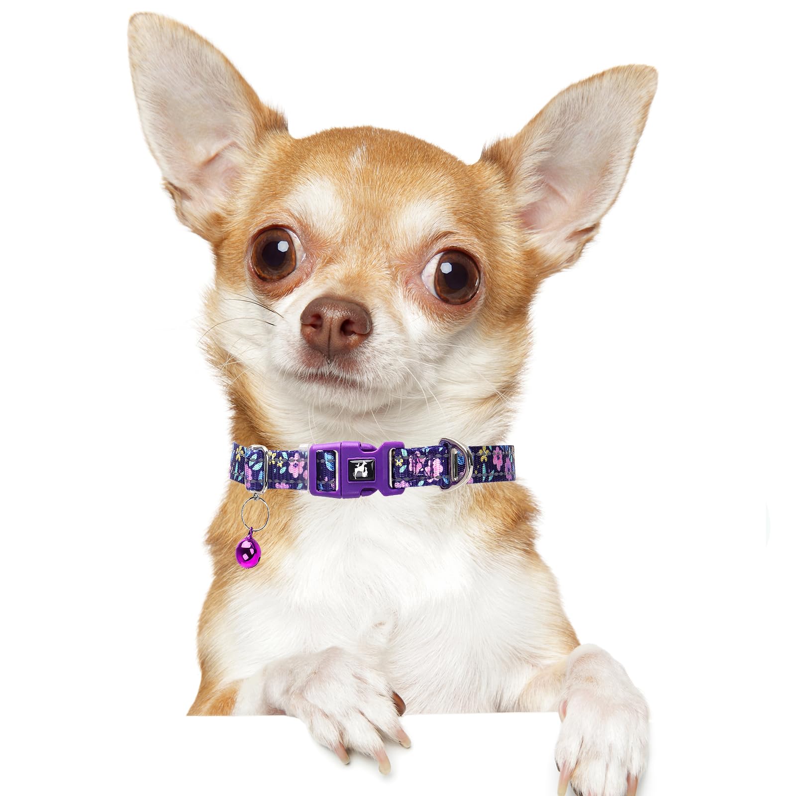 Floral Reflective Dog Collar With Bell -Xsmall Puppy Collars For Puppia Pet Cat Girl Kitten Small Breeds, Cute Adjustable Nylon
