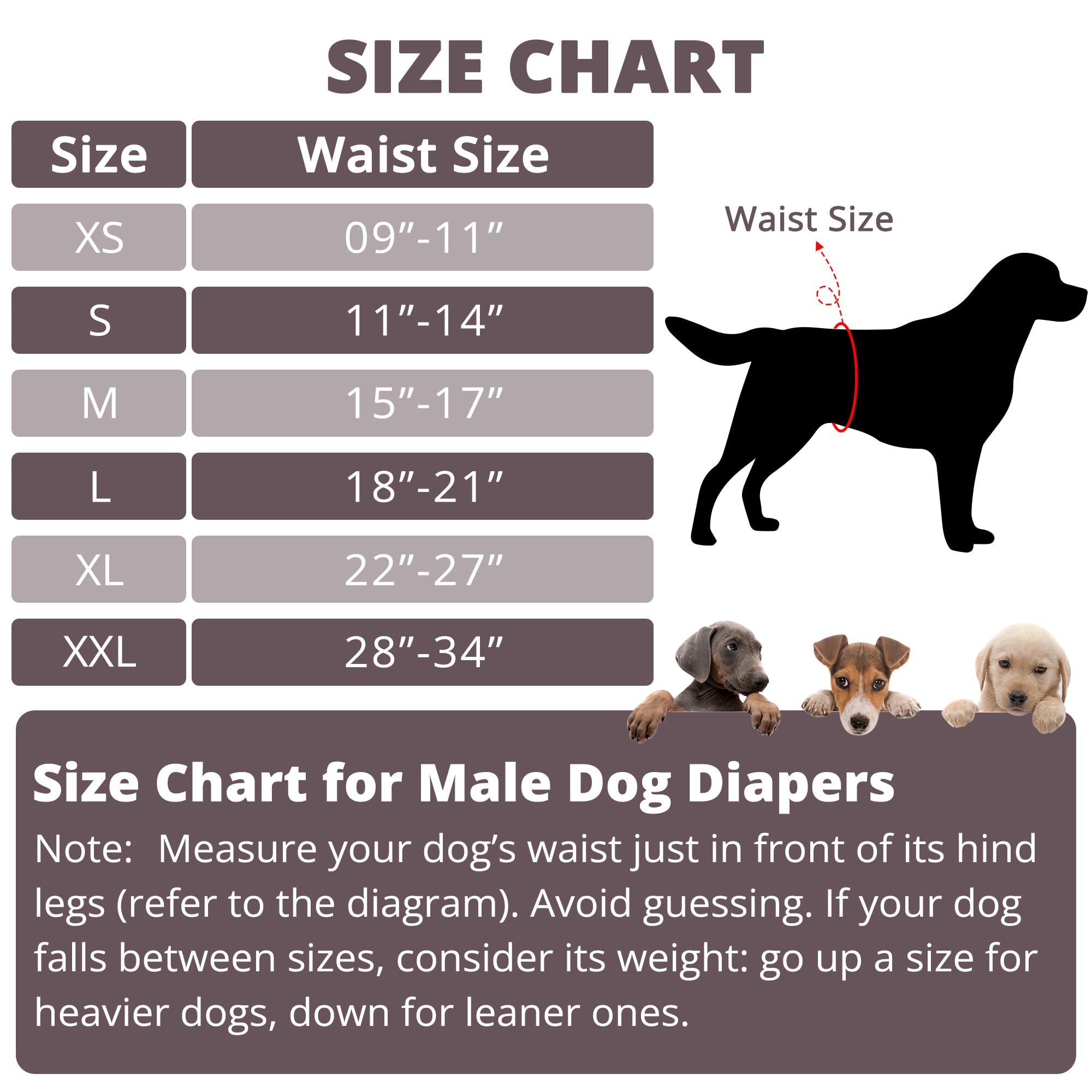 Paw Legend Washable Dogs Diapers Male Dog Belly Bands for Male Dogs Diapers Reusable Puppy Doggie Diapers Male (3 Pack, X-Large)