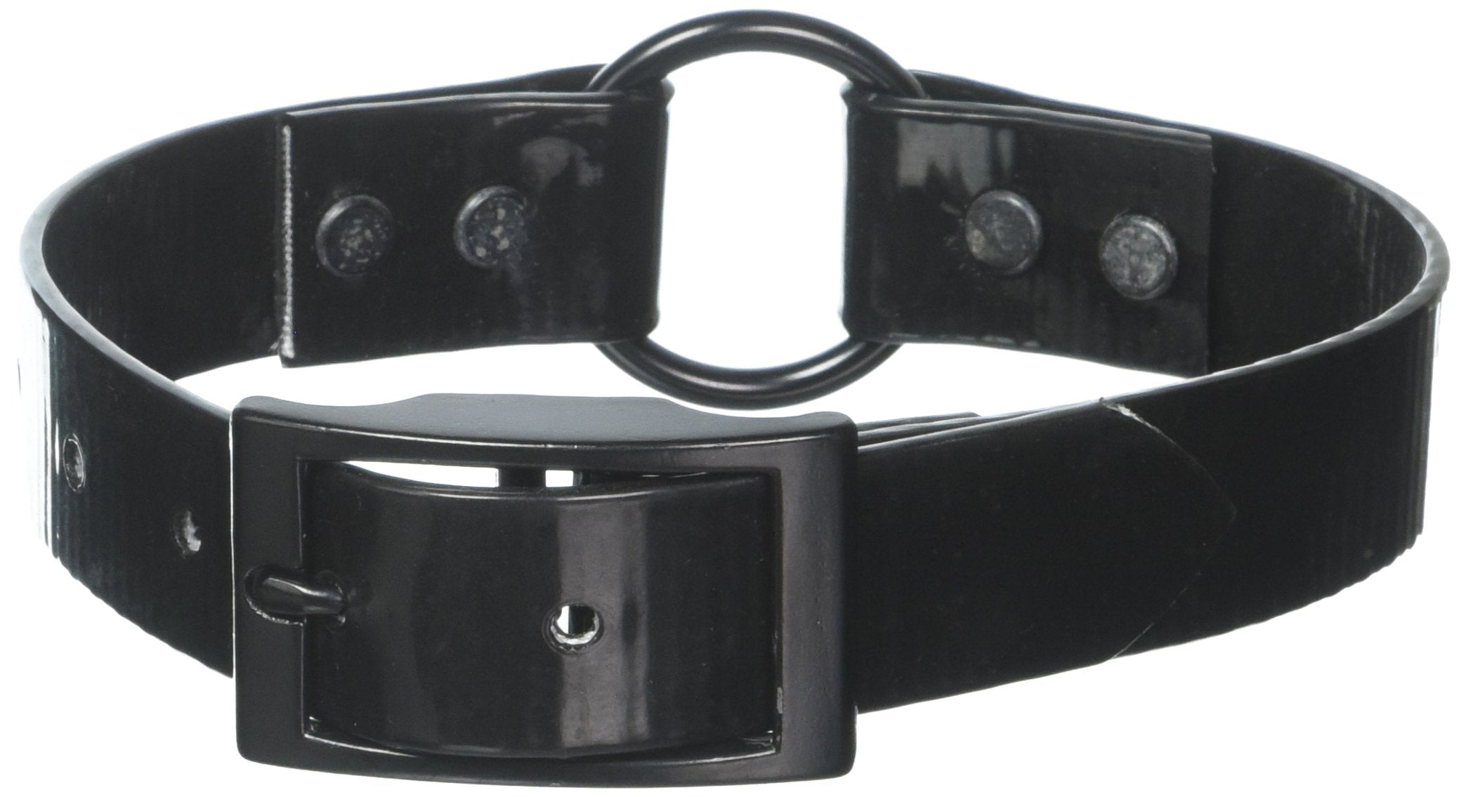 Omnipet Sunglo Ring-In-Center Dog Collar, 1' Wide, Black, Fits 12'- 15.5' Neck Sizes, Vibrant Colors & Tough Construction For