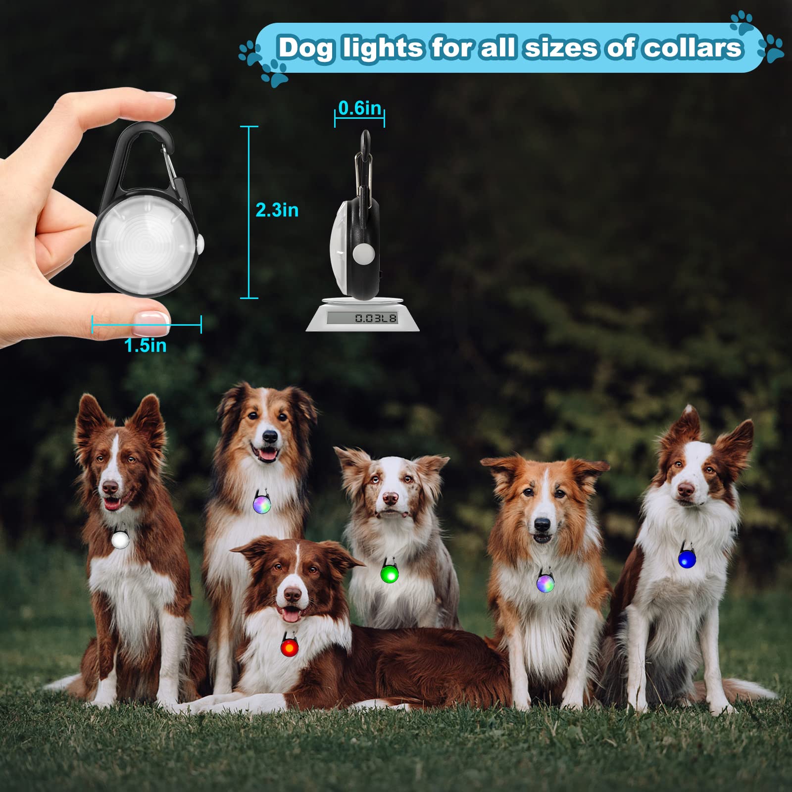4 Modes Dog Lights for Night Walking, IP68 Waterproof Dog Collar Light, High Capacity Rechargeable Collar Lights for Night Time