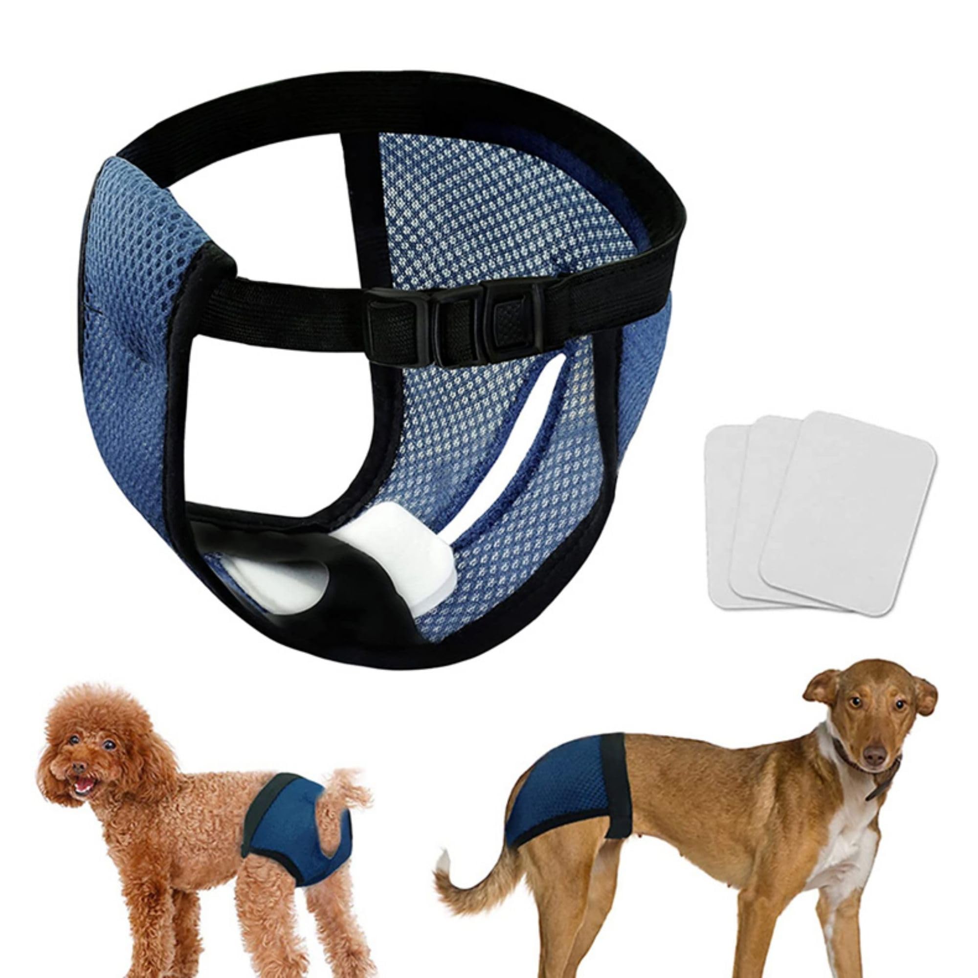 Ddfs Reusable Diapers For Female Dogs In Heat - 3 Replaceable Diapers, Adjustable Protective Pants, Blue L
