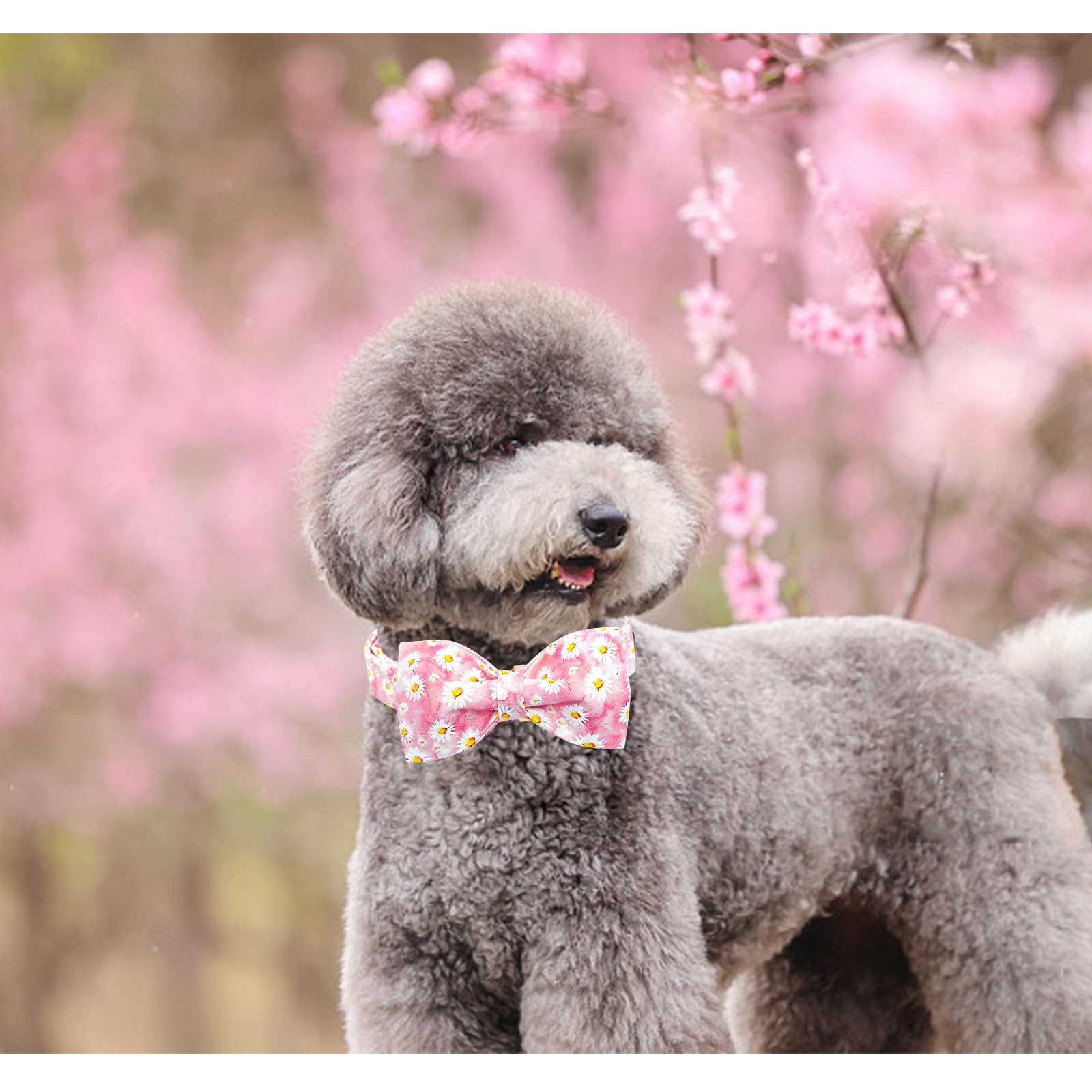 Lionheart Glory Dog Collar, Pink Floral Pattern Dog Bow Collar Girl Dog Collars With Bows Adjustable Durable Collar For Large Do