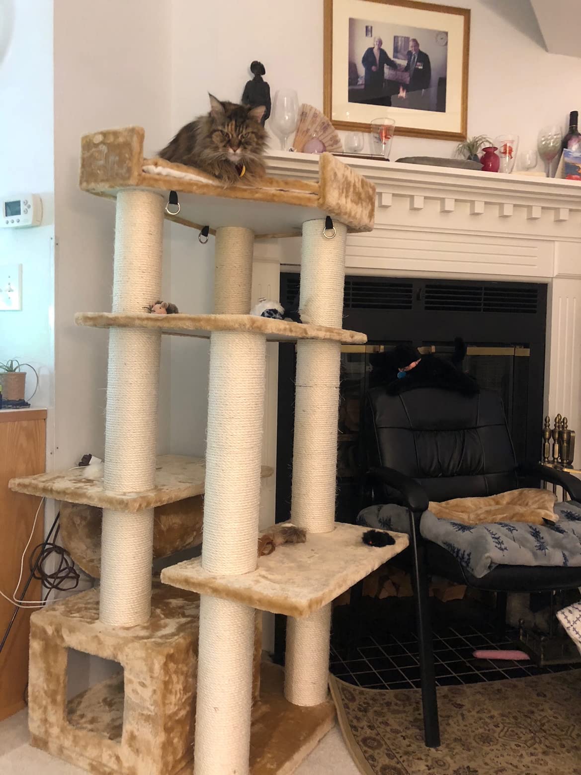 75'' Tall Cat Tree Tower With Condo And Green Leaves