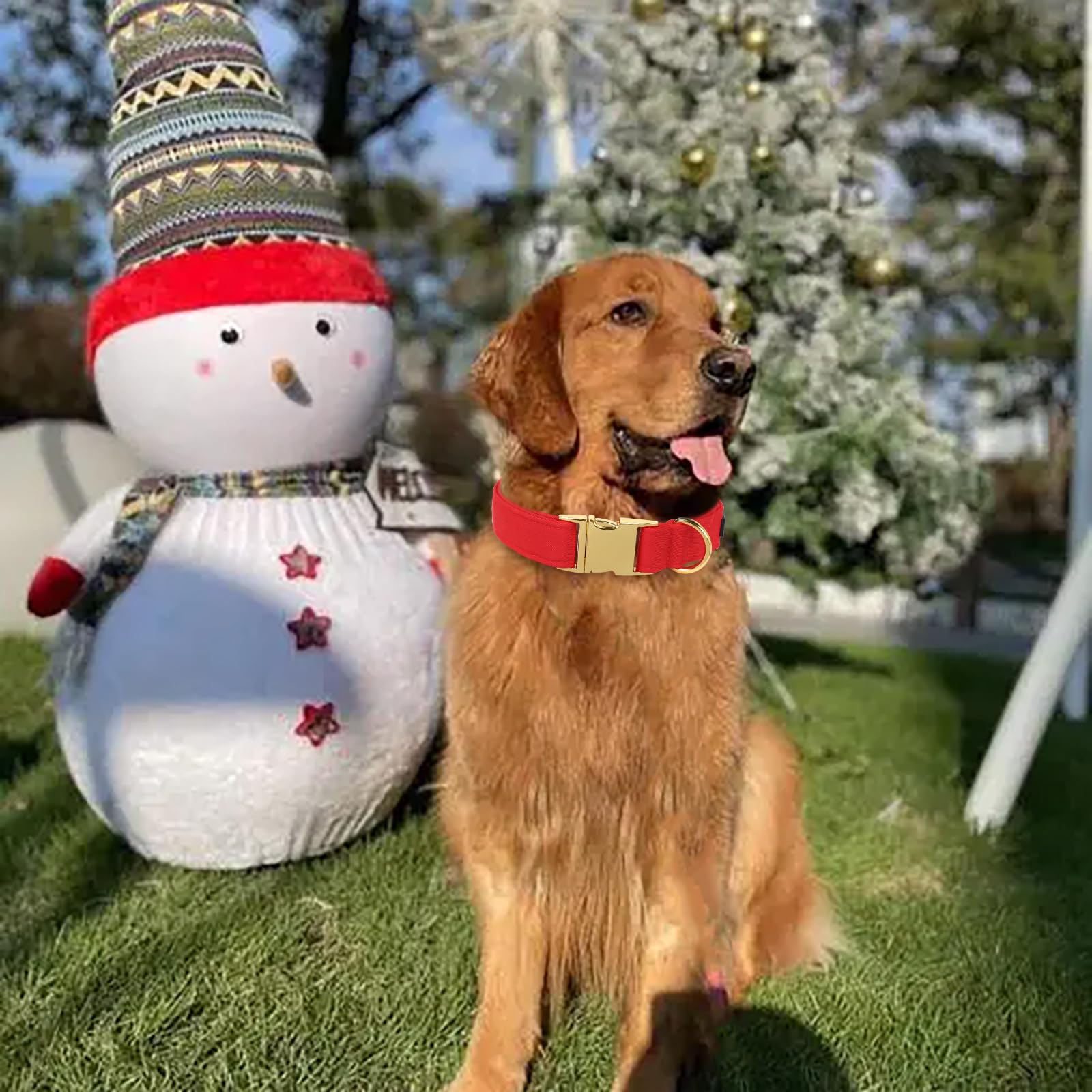 Maca Bates Christmas Collars For Dogs Cotton Soft Red Dog Collar With Metal Buckle Winter Dog Collar Adjustable For Small Medium