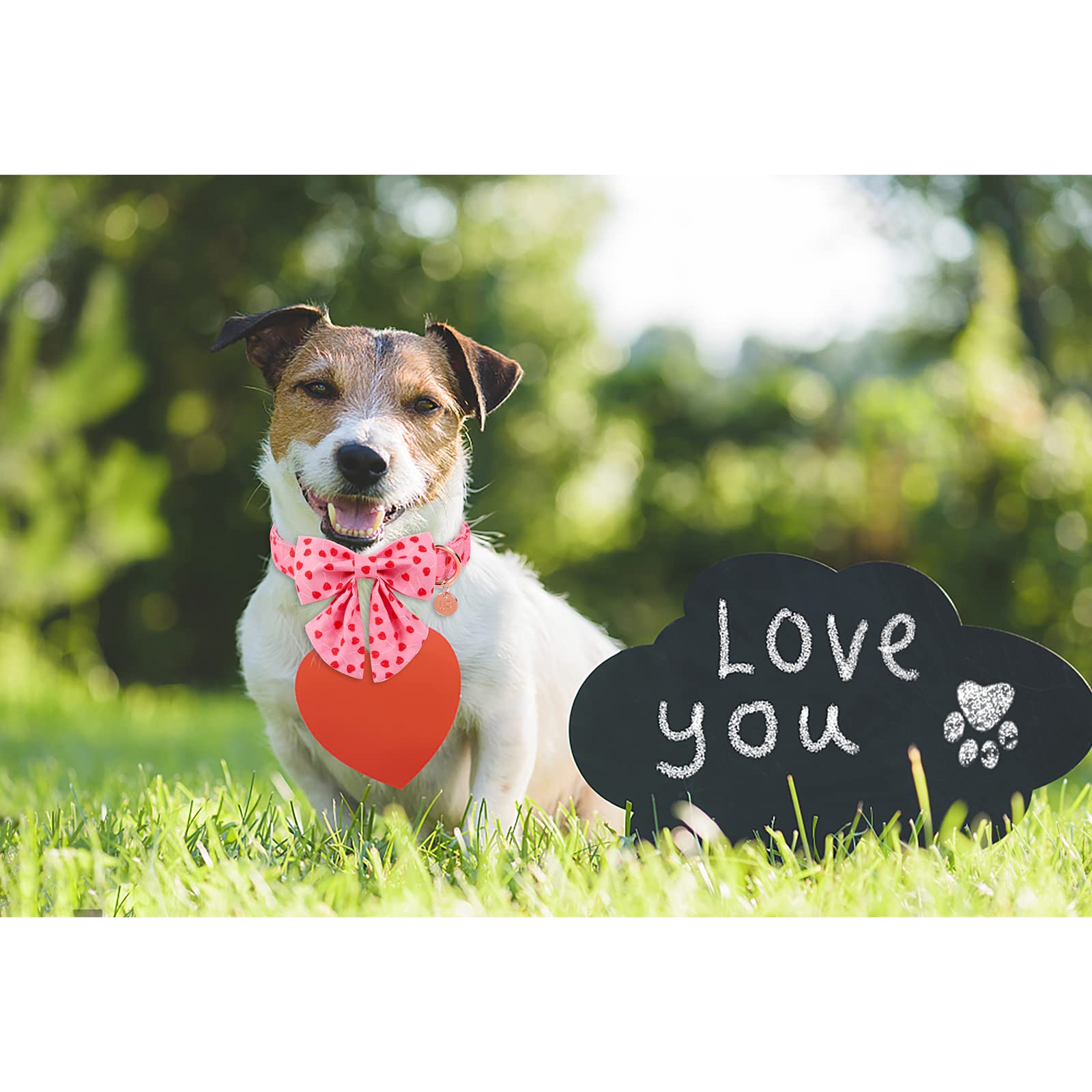 Up Urara Pup Valentine Dog Collar With Bow Tie, Valentine Bowtie Collar For Small Girl Dog, Cotton Collar With Durable Metal Buckle, Valentine’S Day Gift Pet Collar, S, Neck 10-16In, Red Heart