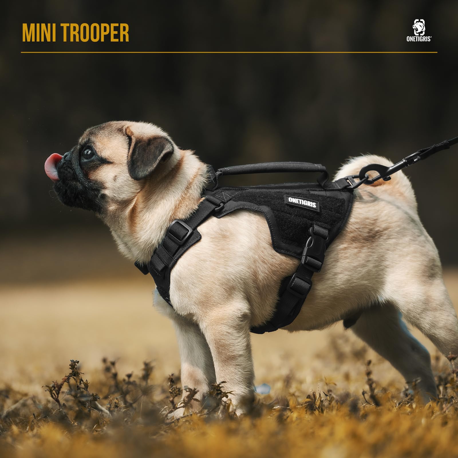 Onetigris Dog Harness Extra Small Puppy Harness, No-Pull Dog Leash Set, Adjustable Soft Padded Vest, No-Choke Pet Vest With Easy
