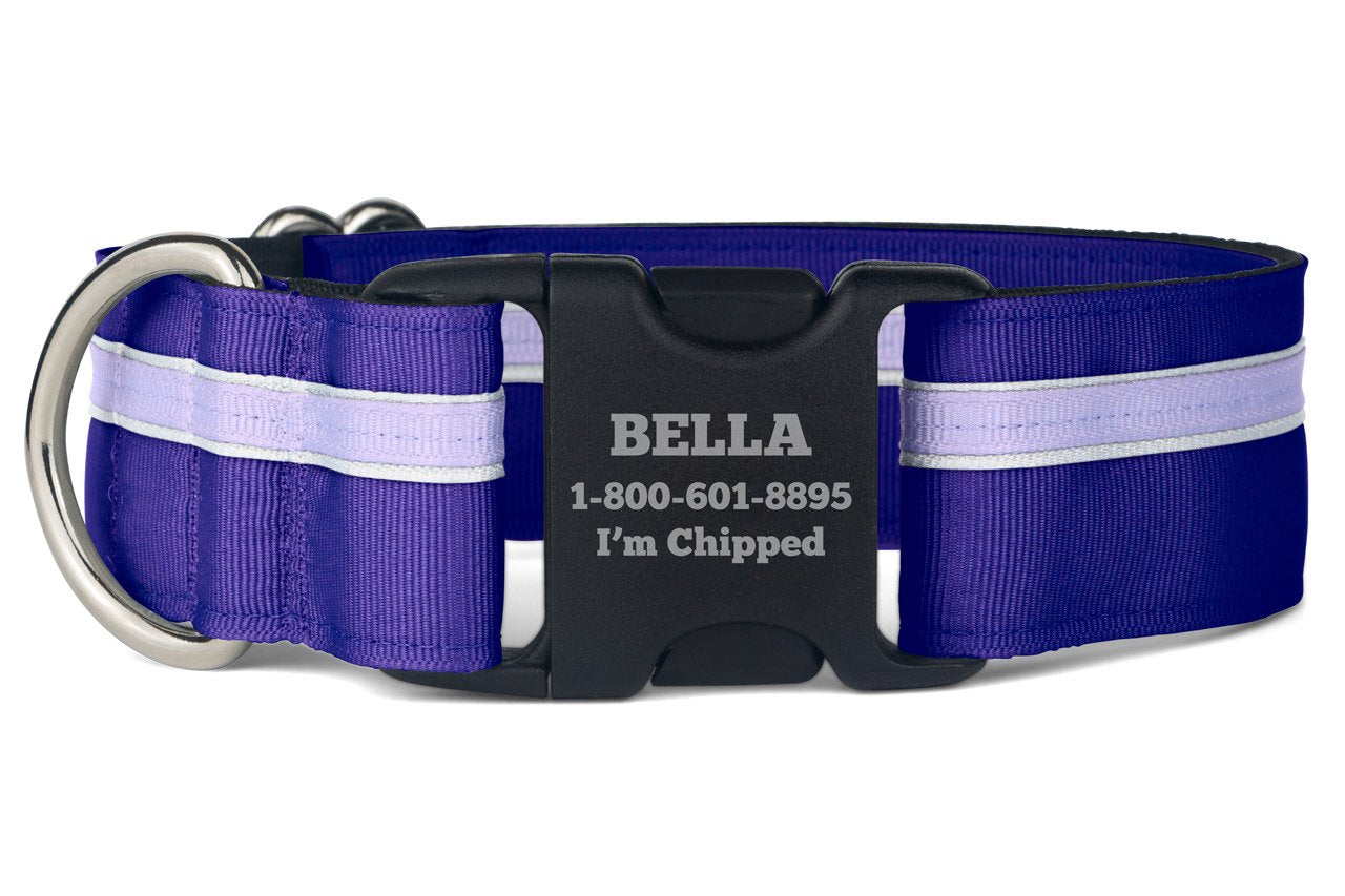 If It Barks Personalized 1.5 Striped Dog Collar - Engraved Name - Custom Size, Grape Crush