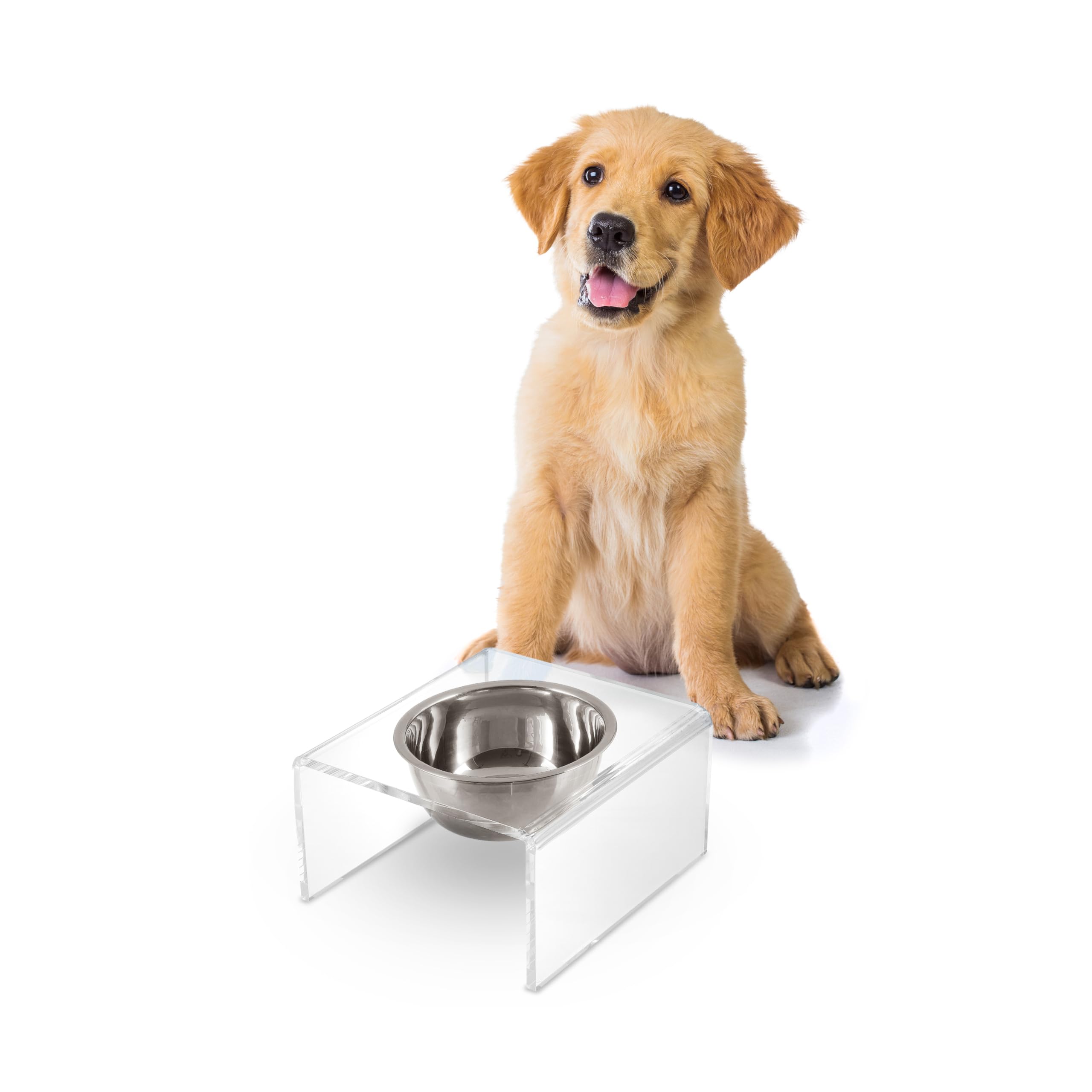 The LICKER Store DBL2002A Keaton 5 Small/Medium Modern Acrylic Rectangular Elevated Pet Feeder with 20oz 1-Stainless Steel Bowl,