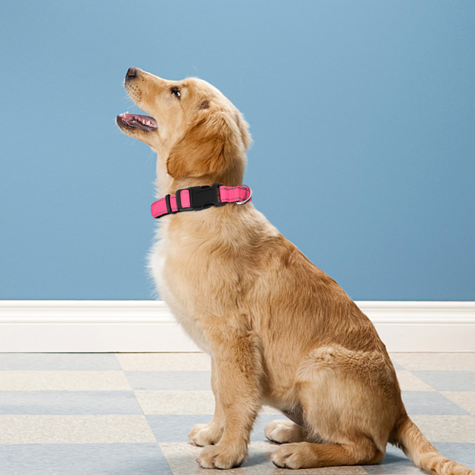 Pwod Reflective Dog Collar, Adjustable Soft Neoprene Padded Nylon Pet Collars With Buckle For Large Dogs, Hotpink,L