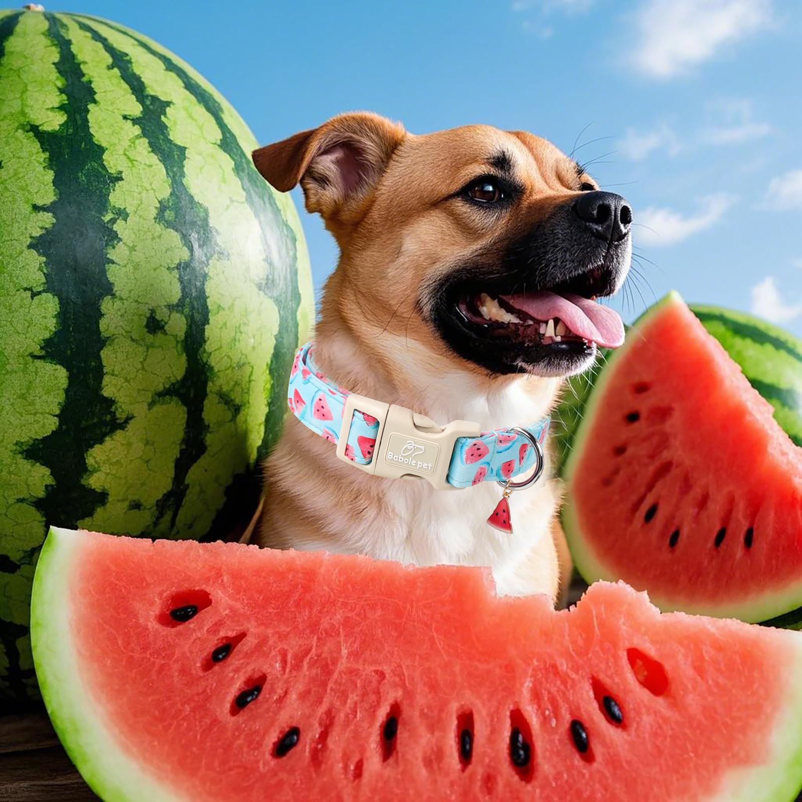 Babole Pet Adjustable Summer Dog Collar, Cute Watermelon Dog Collars For Small Dogs, Lightweight Quick-Release Buckle Collar For