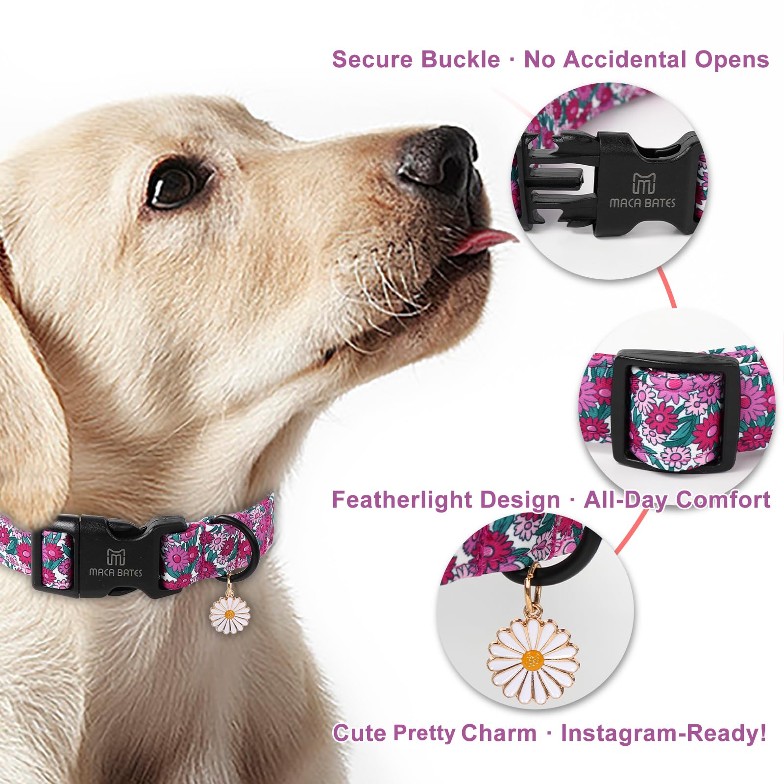Maca Bates Spring Purple Floral Dog Collar For Dogs With Pretty Daisy Charm And Safety Bcukle Adjustable Durable Soft Basic Coll