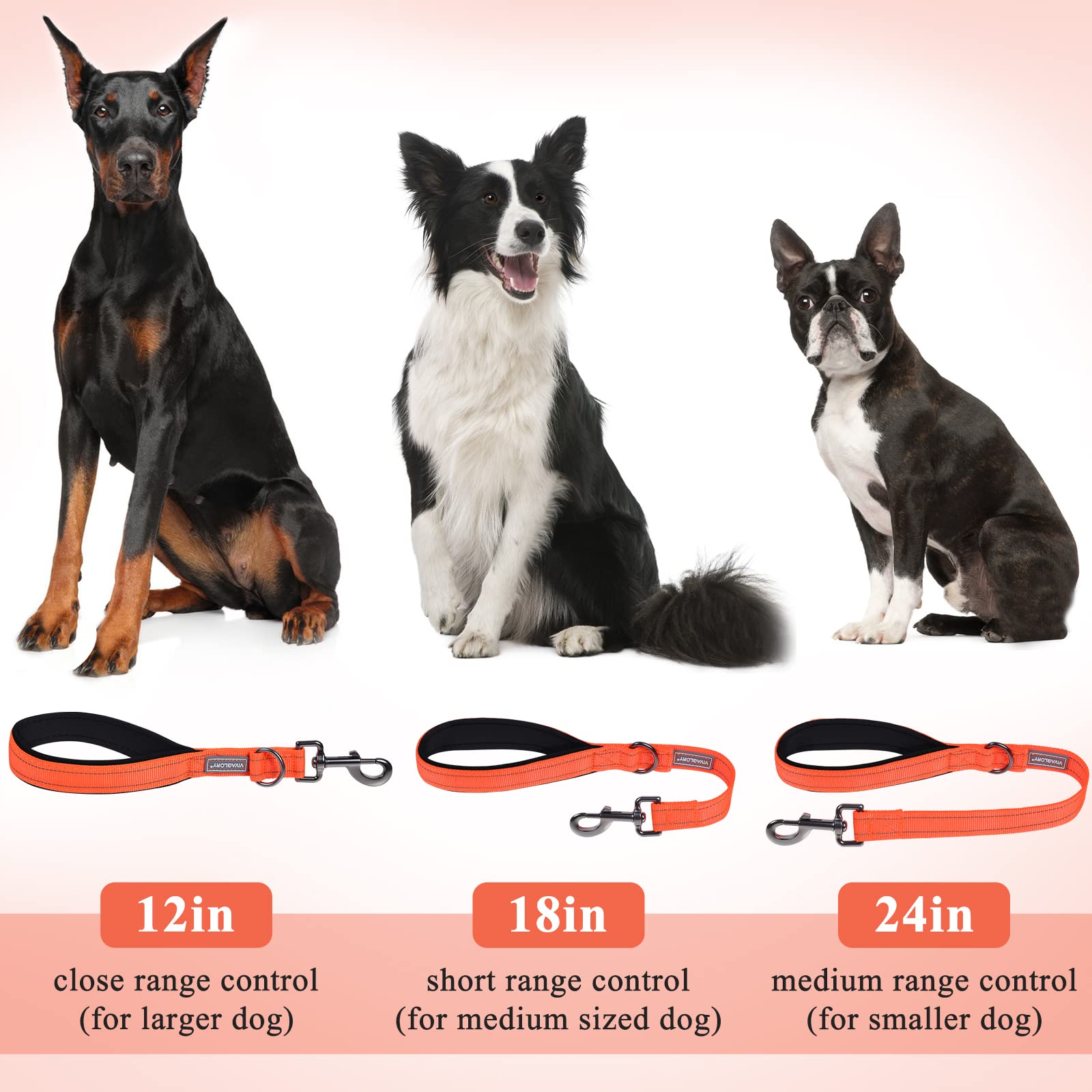 Vivaglory Short Dog Leash For Medium & Large Dogs, 24Inch, Orange