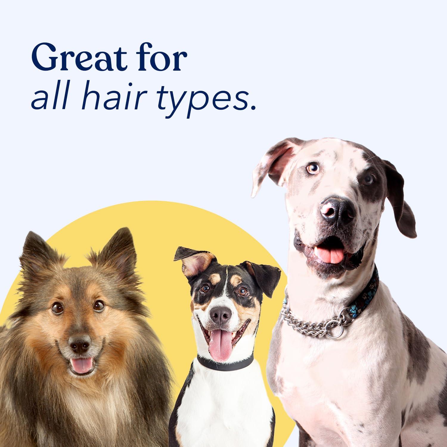 Honest Paws Dog Dry Shampoo - Waterless No Rinse Foaming Formula Reducing Itch Cleanse Hydrate Nourish Dry Skin And Smelly Coat