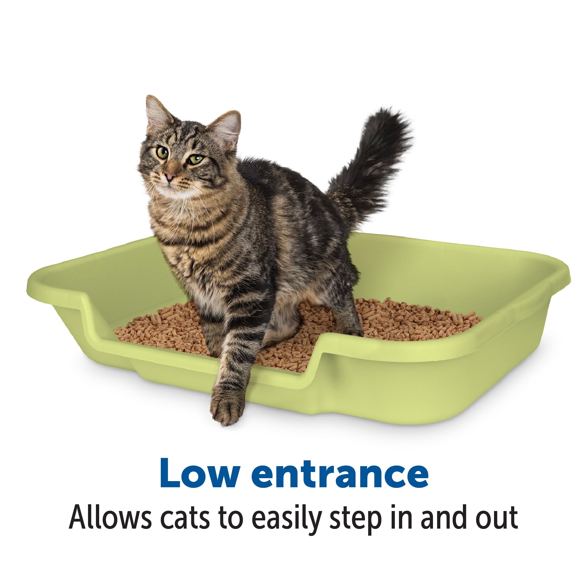 NE14pets KittyGoHere Large Cat Litter Box, Apple Green, Low Entrance, Ideal for Senior Cats, Model MSP-19, Made in USA