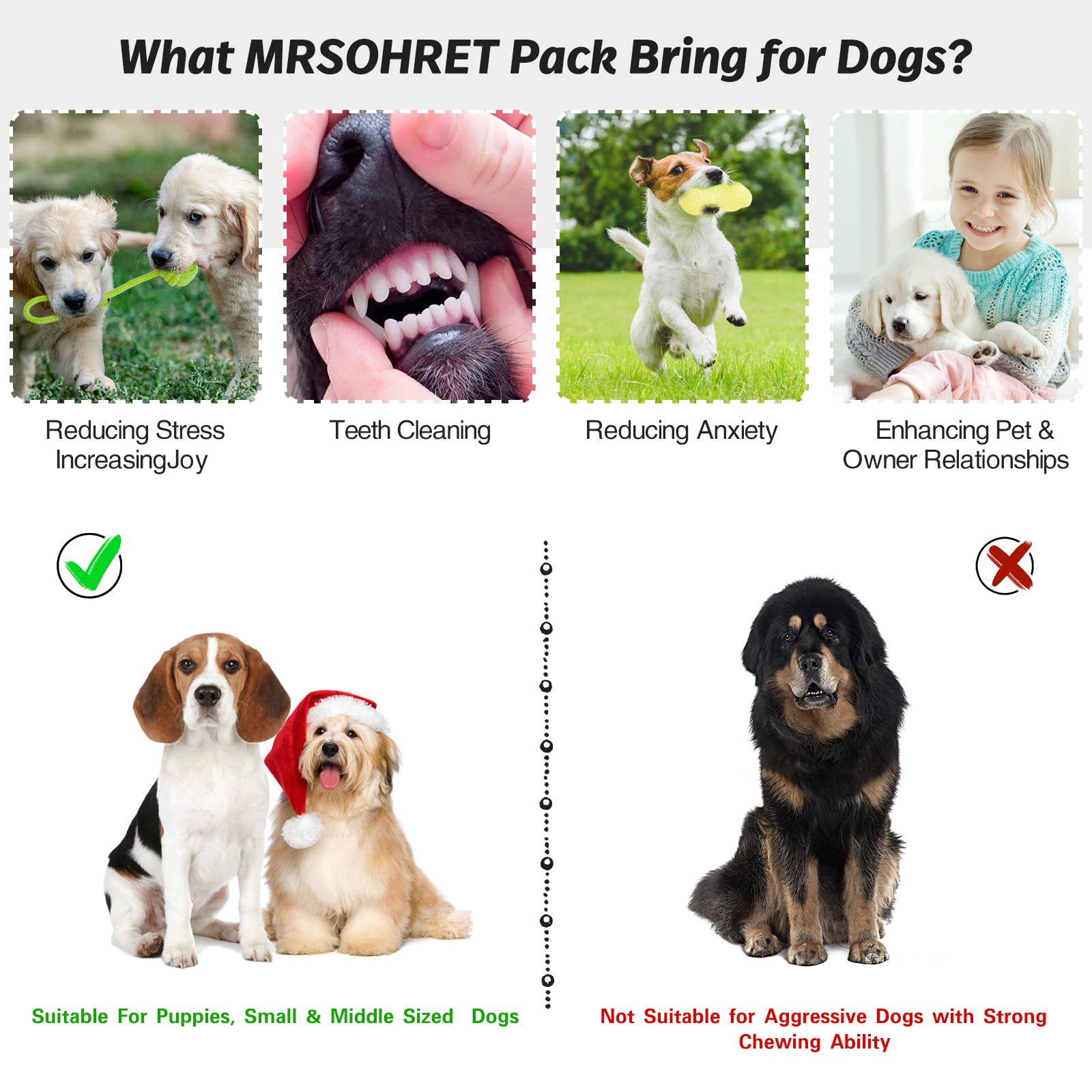 MRSOHRET Puppy Chew Toys Set - 20 Pack Natural Rubber Toys for Teething, Squeaky, Plush, and Rope Toys in Frog Style