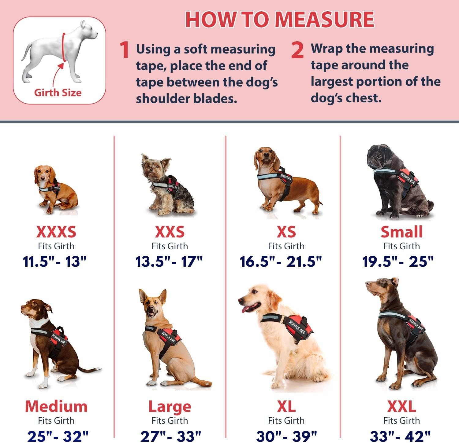 Service Dog Vest with Hook and Loop Straps & Matching Leash Set - Harnesses from XXS to XXL - Service Dog Harness Features Refle