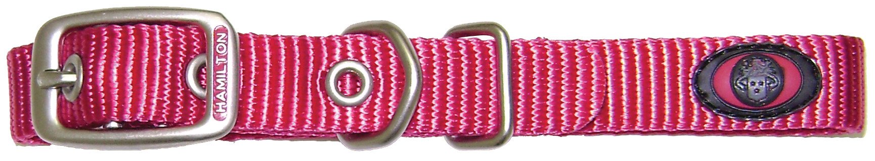 Hamilton B St 16Rs Brushed Hardware Single Thick Nylon Deluxe Dog Collar, 5/8 X 16-Inch, Raspberry