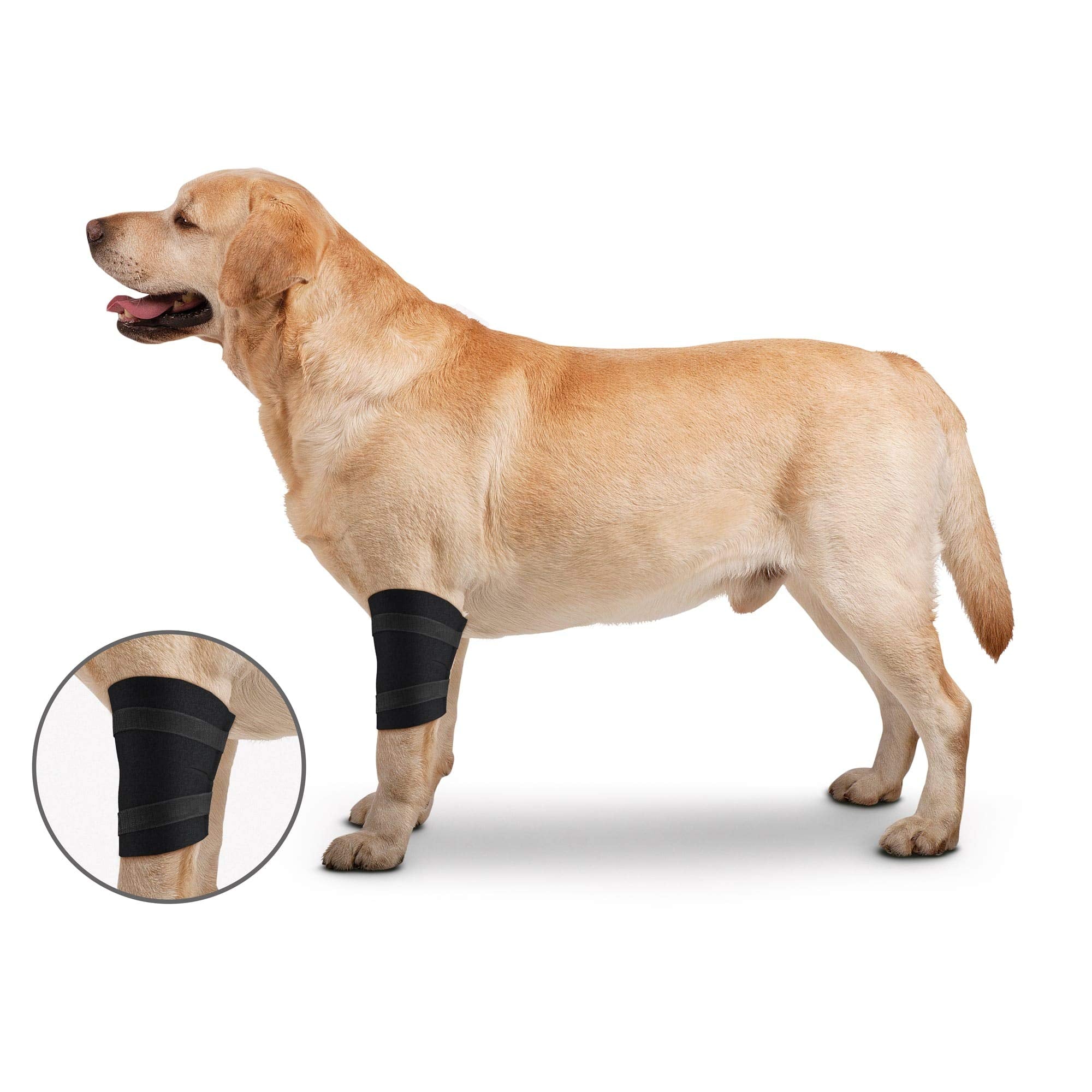 ZenPet Elbow Wrap for Dogs (Medium)