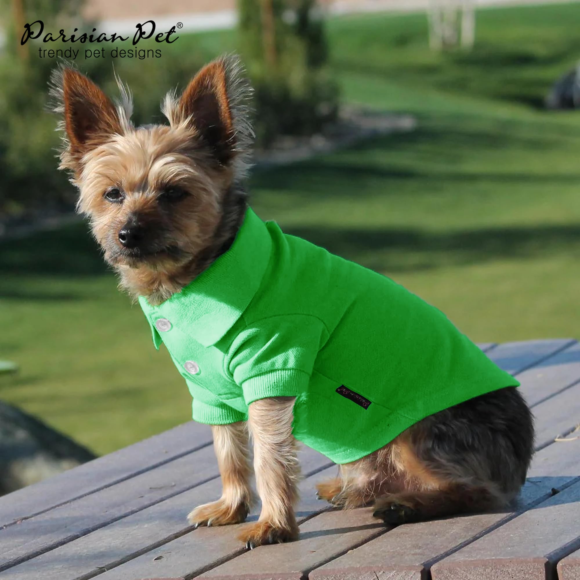 Parisian Pet Dog Polo Shirts - Breathable Cotton Shirt - Solid Green, Summer Pullover - Button Up Collar, 2Xl