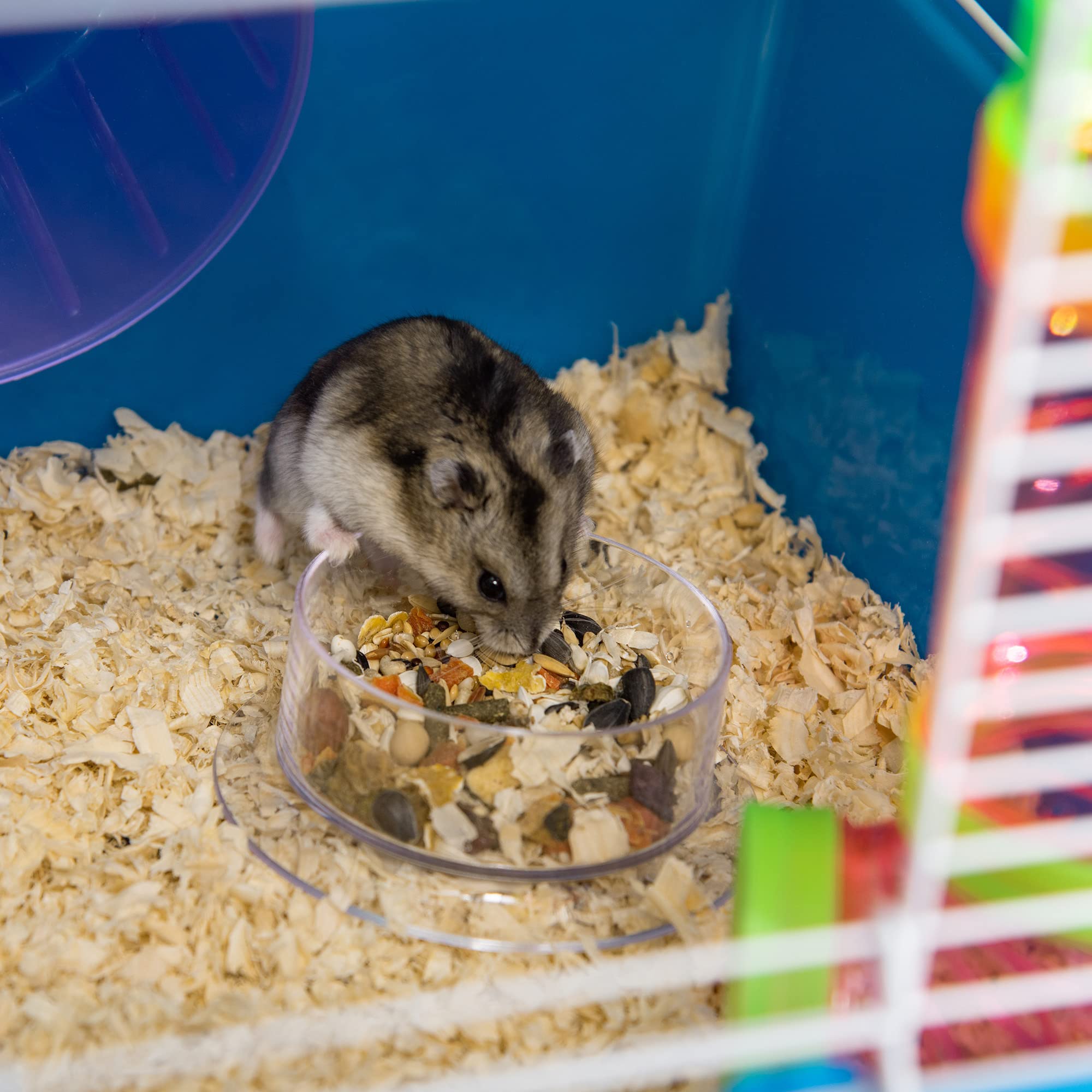 PawHut Extra Large 23 Hamster Cage with Tubes and Tunnels, Portable Carry Handles, Rat House and Habitats Big 5-Tier Design, Mou