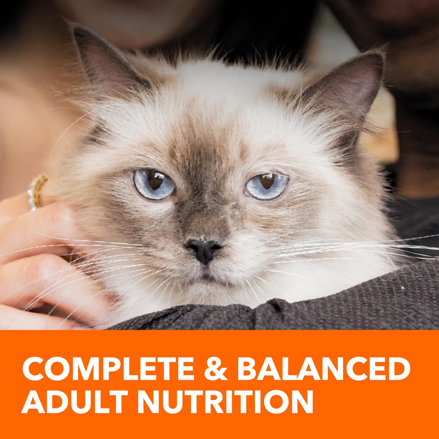 Iams Healthy Enjoyment Dry Cat Food Chicken & Beef Recipe, 3 lb. Bag