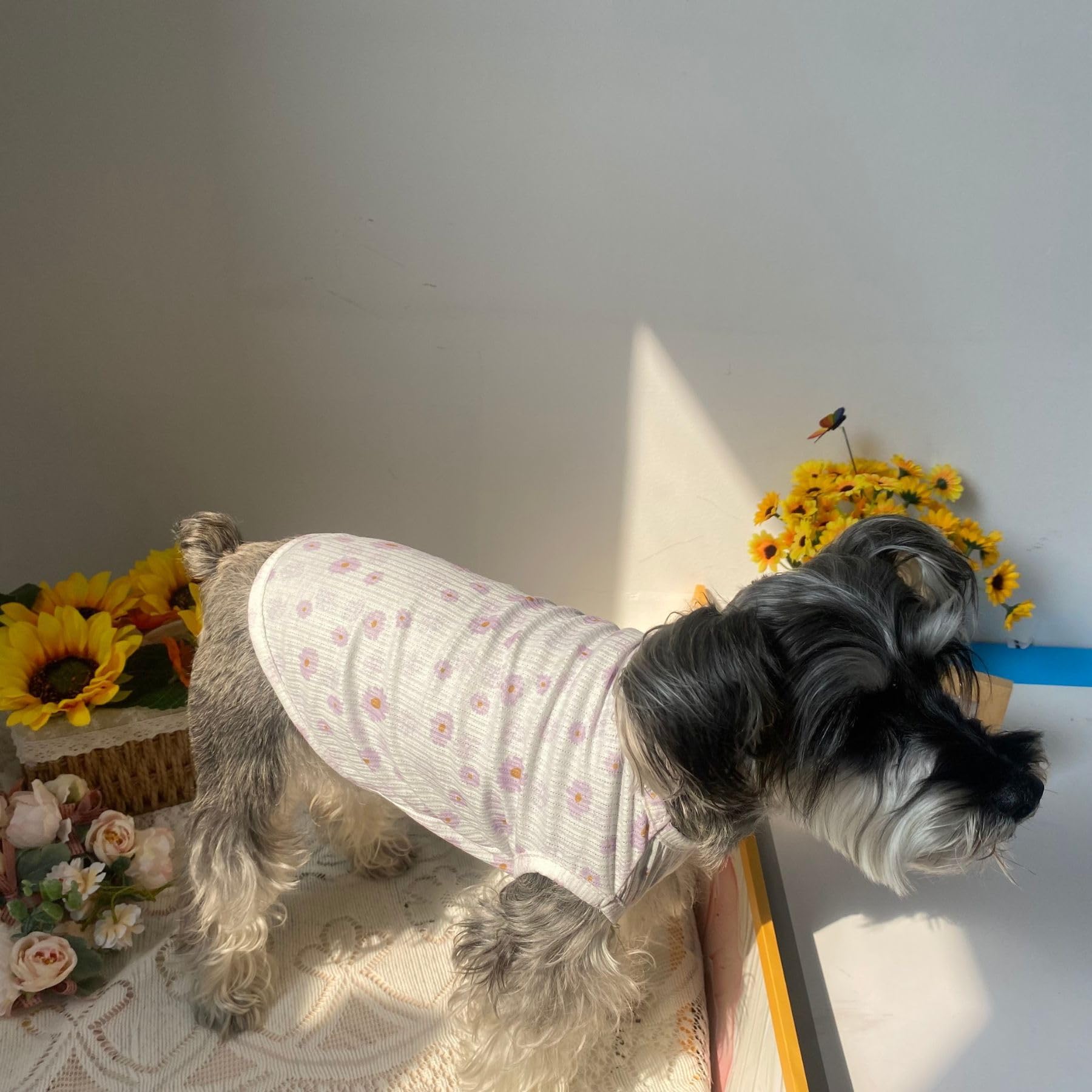 Summer Dog Cotton T Shirt Pet Tee Shirts Puppy Daisy Flower Prints Clothes Apparel For Small Dogs Cats