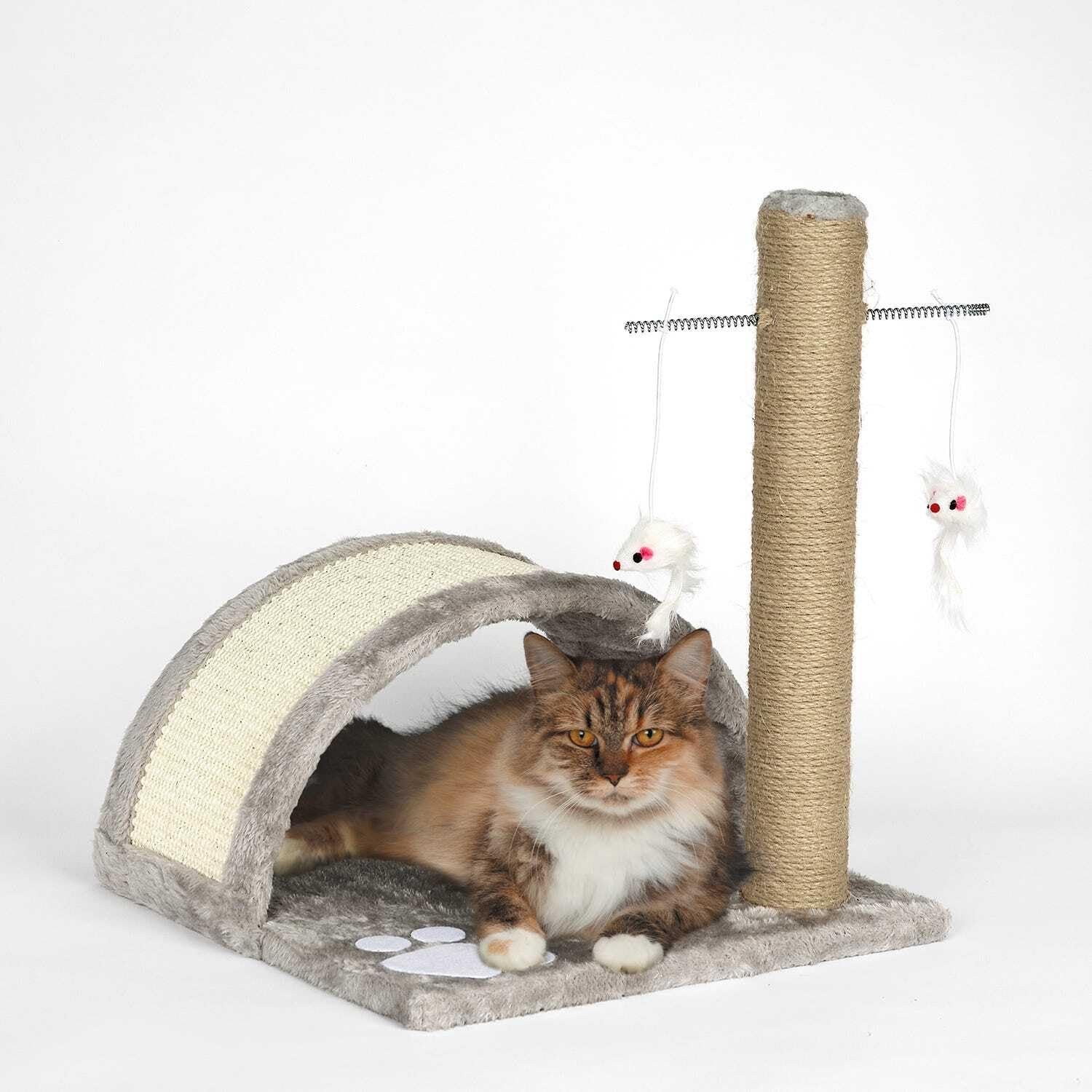 MT Paw Bridge & Scratcher Pole 1