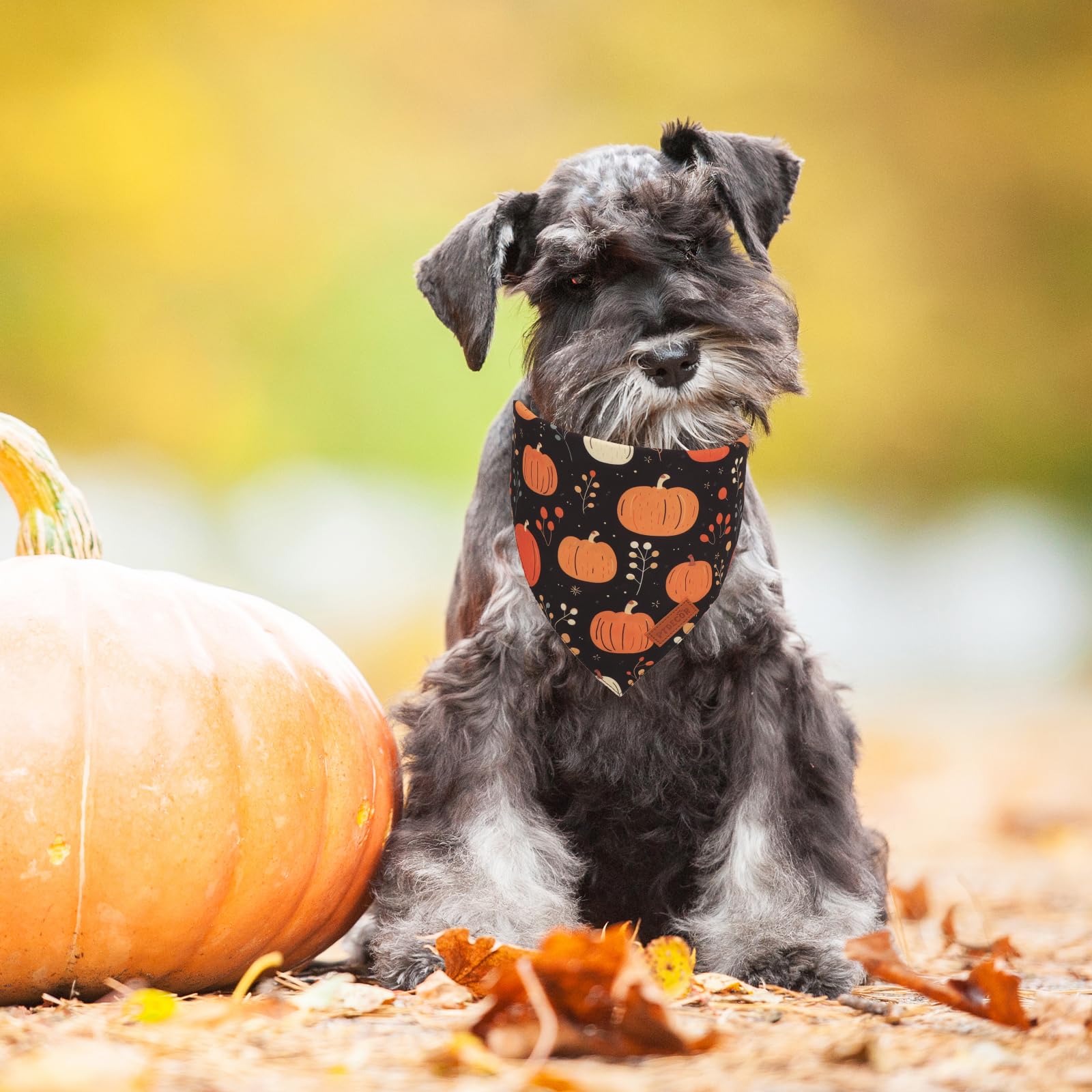 Ptdecor Fall Dog Bandana, Pumpkin Mushroom Design Scarf Reversible Holiday Dog Scarf, Triangle Thanksgiving Bandanas For Small D