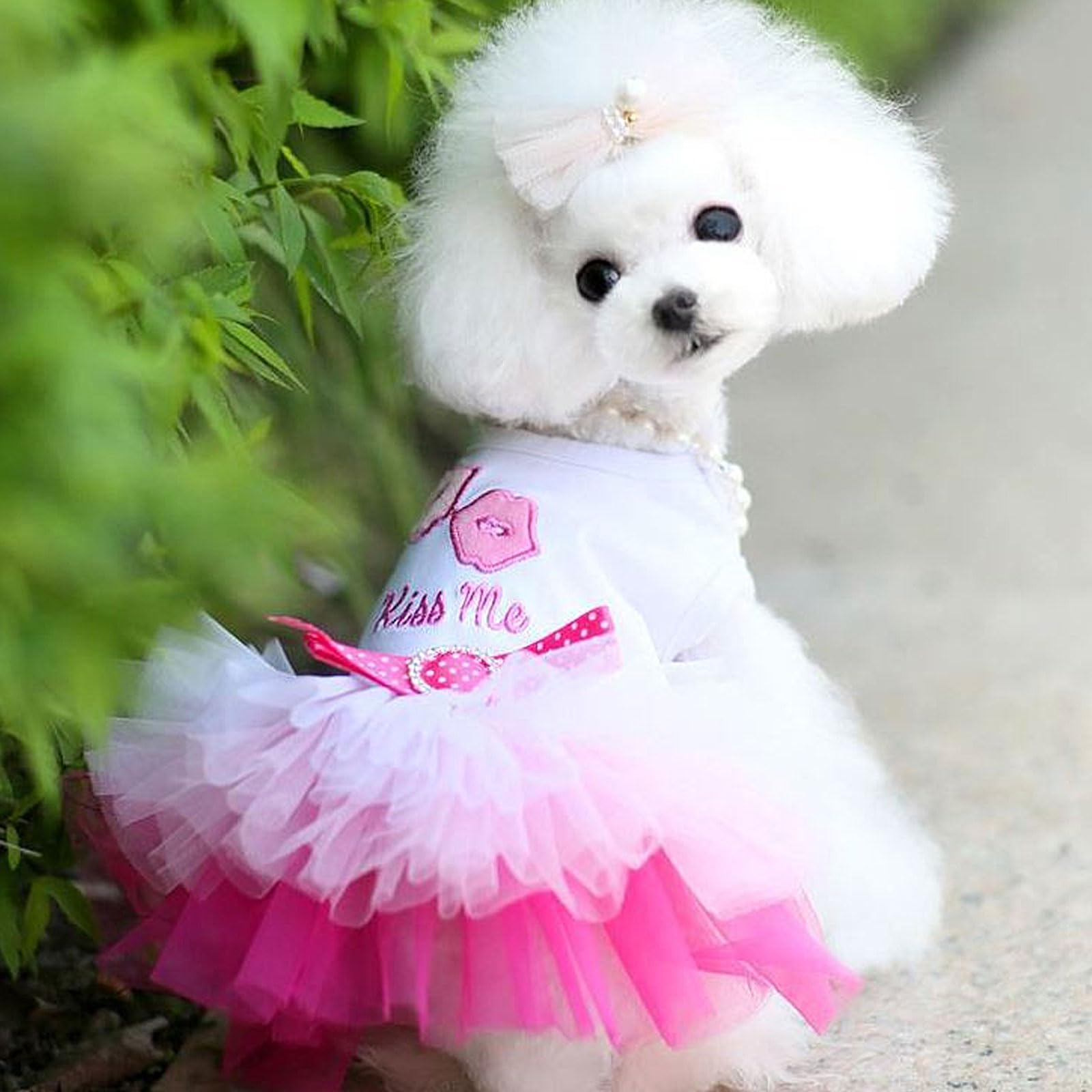 2 Pack Puppy Dresses For Small Dogs Girls Cute Princess Puppy Dresses With Rhinestones Tutu Pet Dress Outfit Female Dog Clothes