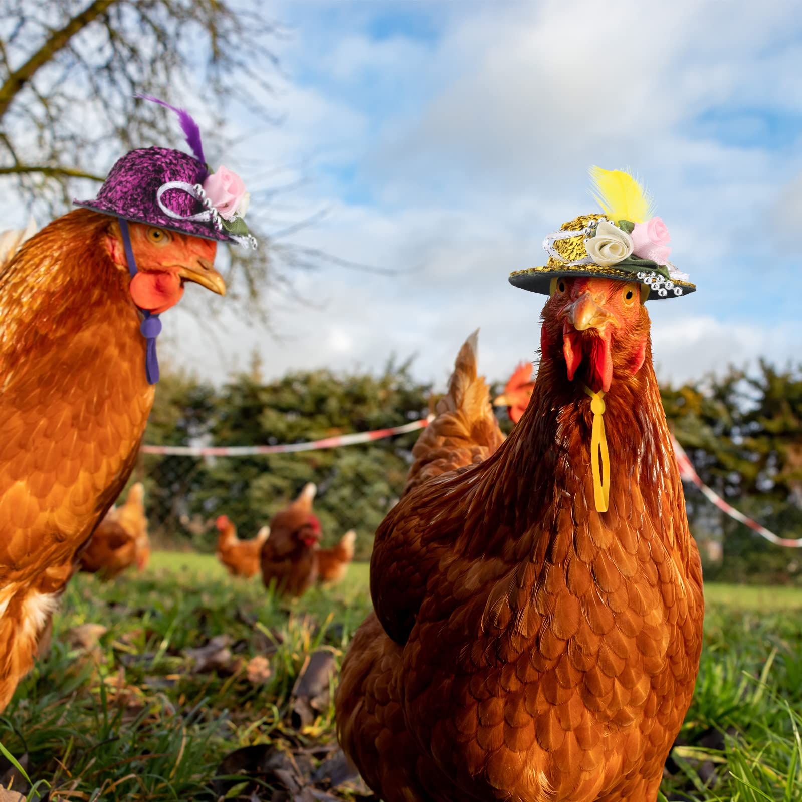 6 Pieces Chicken Hats For Hens Tiny Pets Funny Halloween Accessories Feather Top Hat With Adjustable Elastic Chin Strap Rooster Duck Parrot Poultry Stylish Show Costume (Novelty Style)