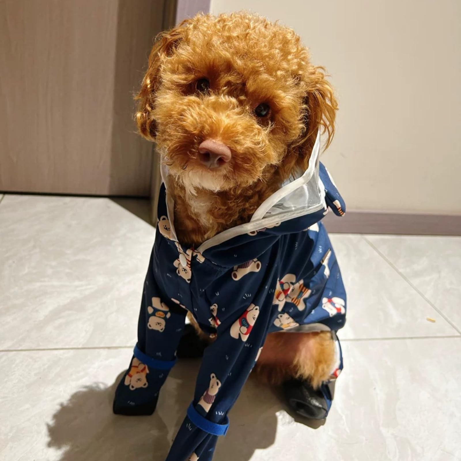 Harikaji Small Dog Raincoat, Tail Protect Feet Cover Waterproof Dog Rain Jacket Dog Rain Coat For Puppy Small Dogs (Navy Bear,M)