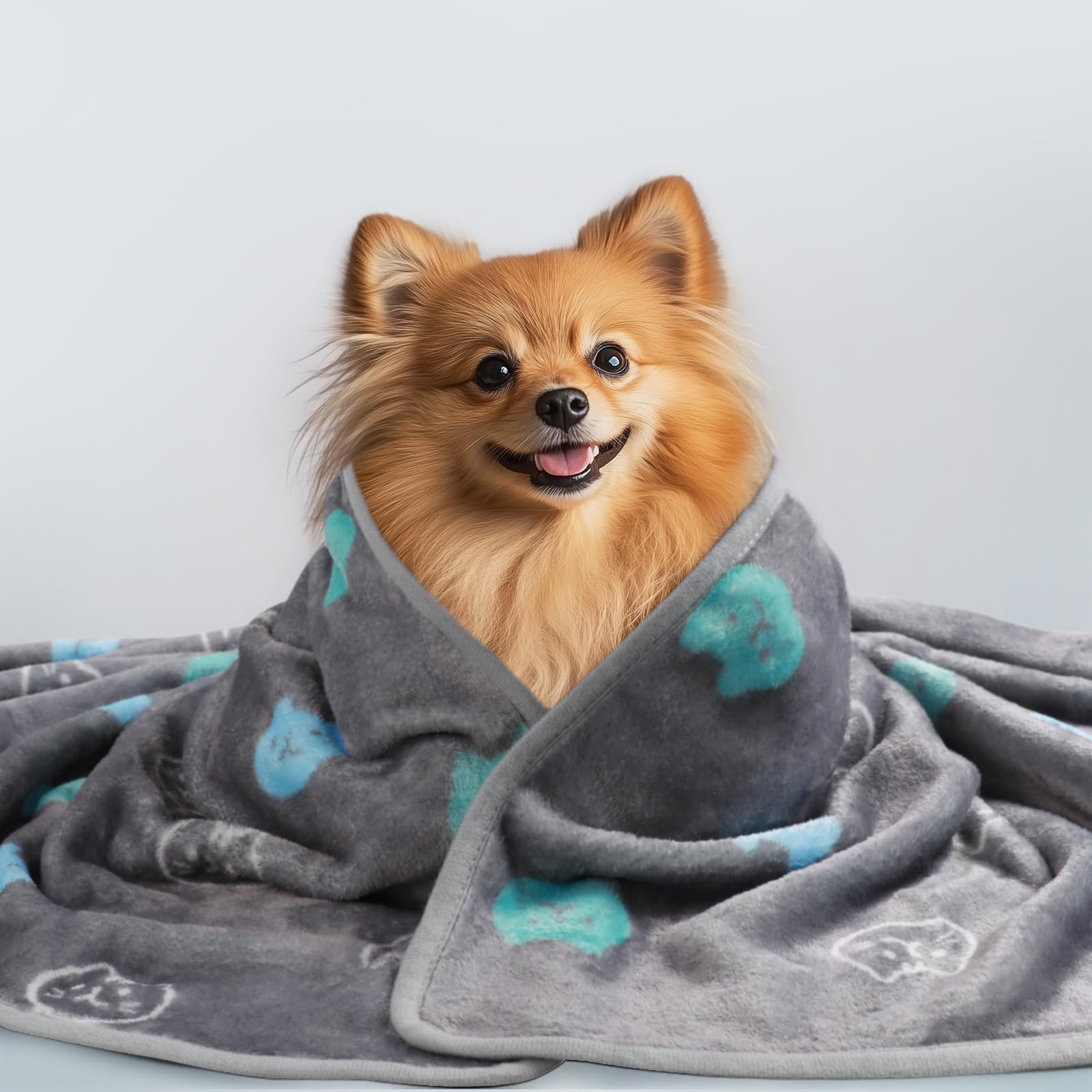 1 Pack 3 Blankets Super Soft Fluffy Premium Cute Cat Pattern Pet Blanket Flannel Throw for Dog Puppy Kitten Blue/Cyan/Grey Mediu