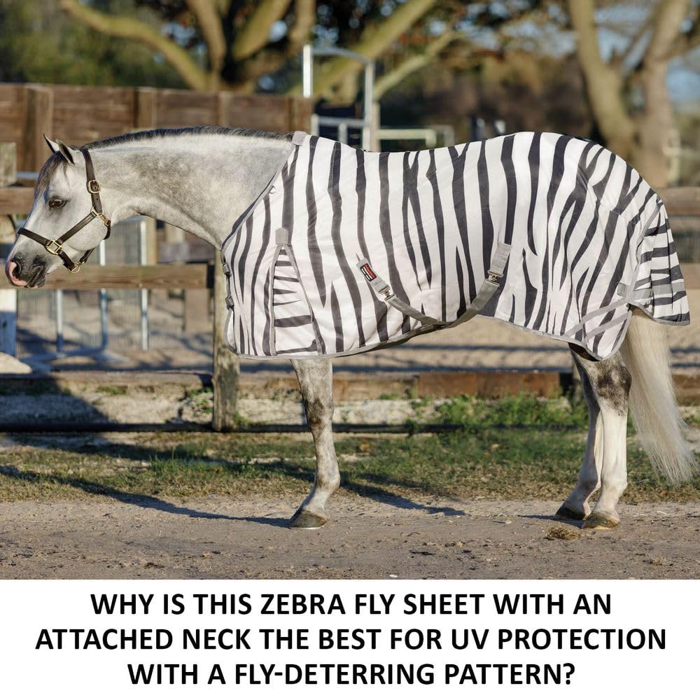 Schneiders Zebra Horse Fly Sheets | Striking Zebra Pattern for Fly Deterrence & UV Protection | Euro Surcingle | Size 78