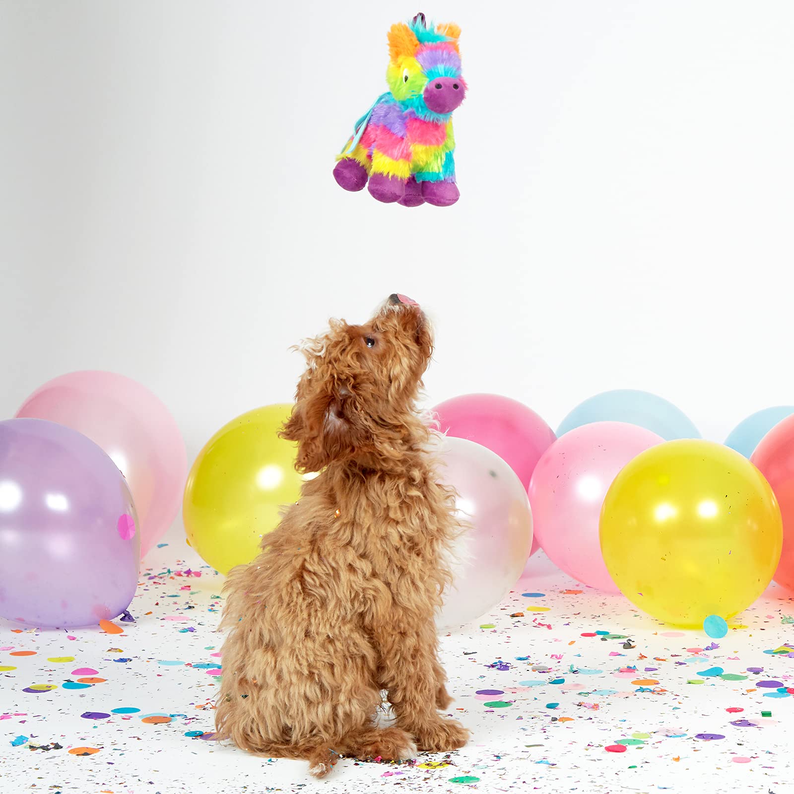 Barkbox Plush Squeaky Dog Toys - Large Dog Chew Toy, Full O' Fluff Piñata