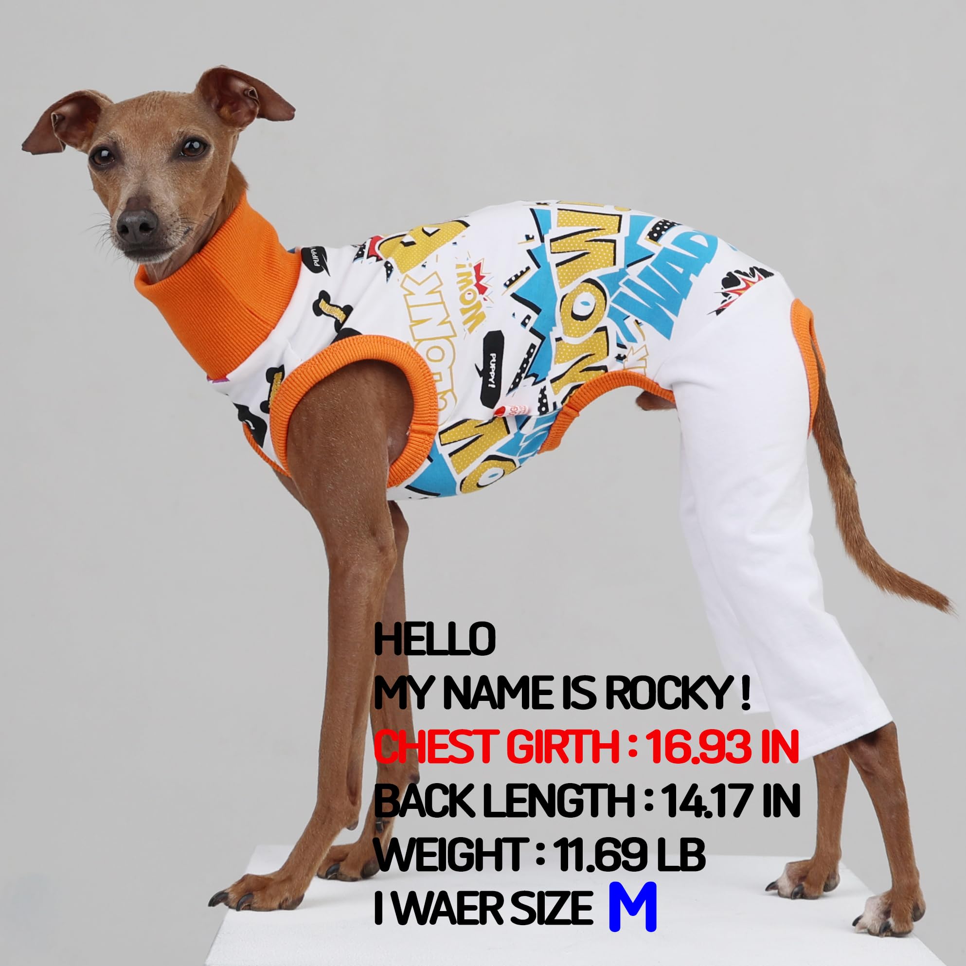 D Doggy Star Italian Greyhound Clothes Stretchable Bow Sleeveless Onesie Whippet For Dog (Xl,Onesie Bow White)
