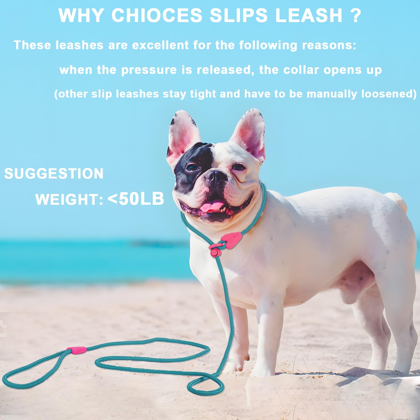 Slip Lead No Pull Dog Leash Slip Leads for Dogs Puppy Leash 6FT Slip Leash for Dogs Dog Lead with 6 Colors Strong Nylon Dog Trai