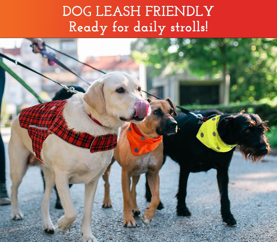 Spot The Dog! Reflective Dog Bandanas - Reversible High Visibility Safety Dog Accessories For Small, Large Dogs, Collar, Scarf, Bib Gear For Hunting, Walking At Night (Blaze Orange, Red Plaid, M-L)