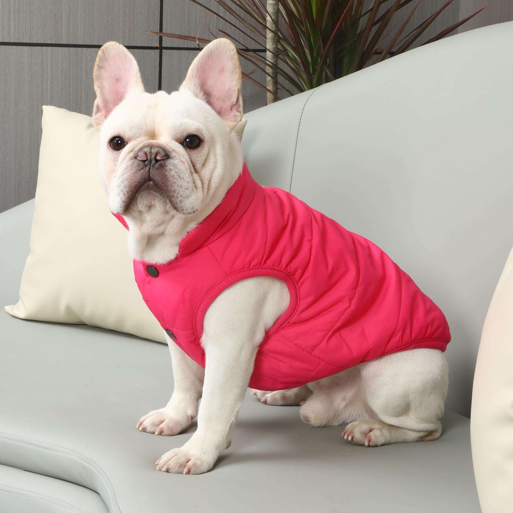 Joydaog 2 Layers Fleece Lined Warm Dog Jacket For Winter Cold Weather,Soft Windproof Large Dog Coat,Pink Xxxl