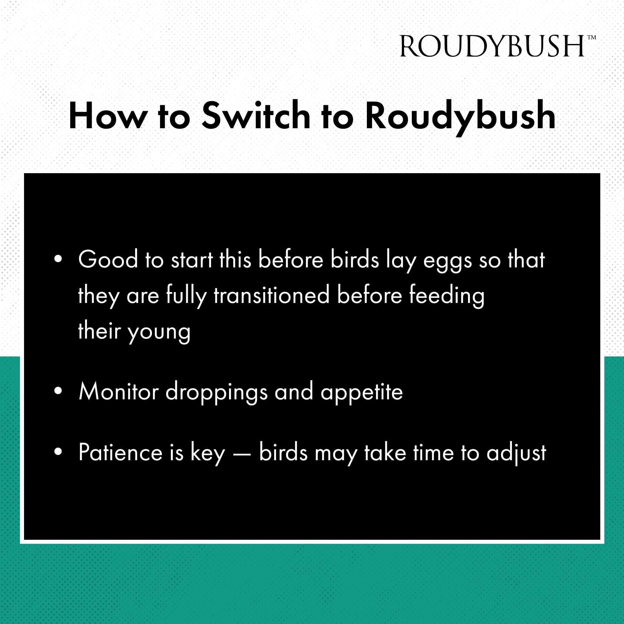 Roudybush Daily Maintenance Bird Food, Medium, 44-Ounce