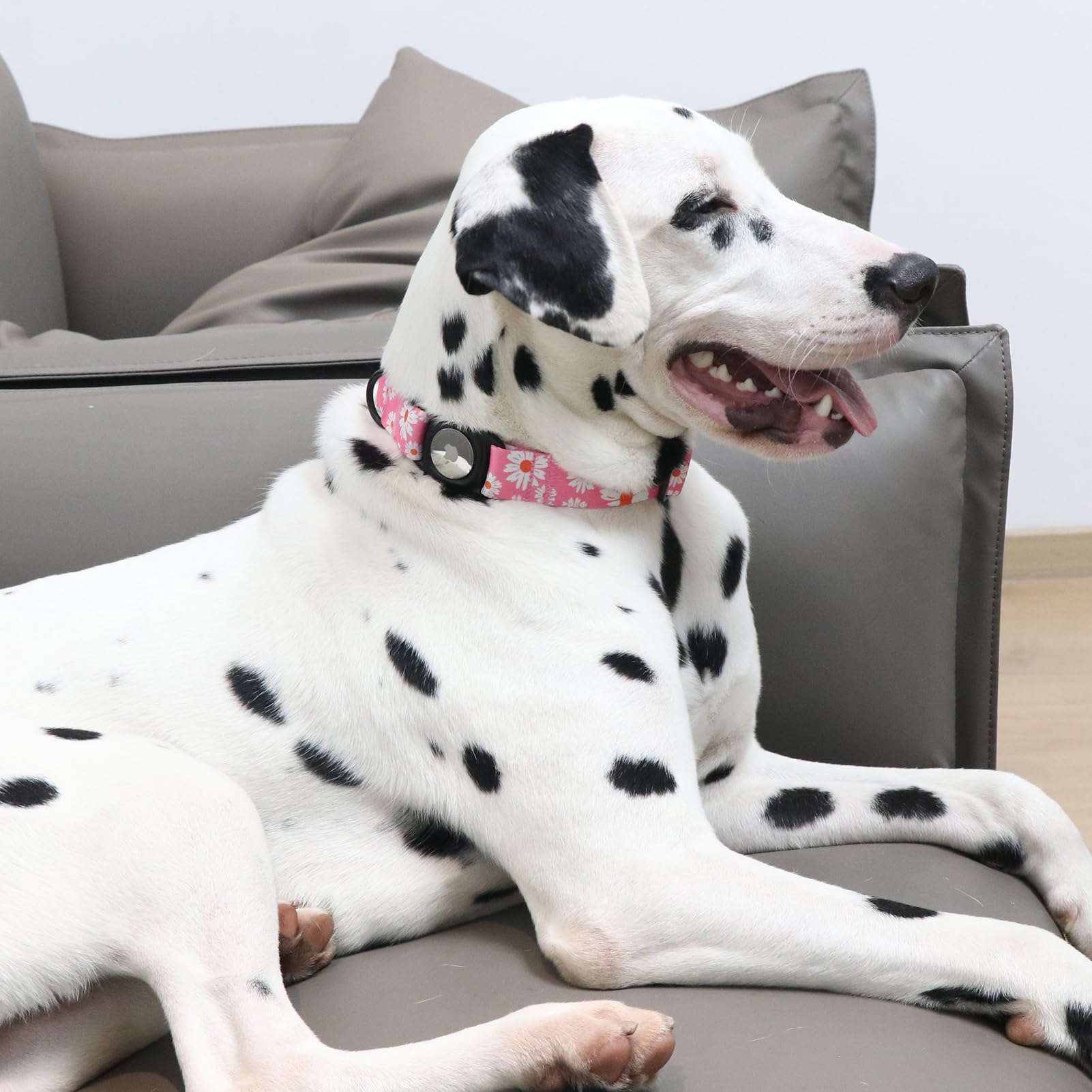 Mr.Chubbyface Airtag Dog Collar Floral Pink Daisy Dog Collar With Apple Airtag Holder For Small Medium Large Boy Girl Dogs