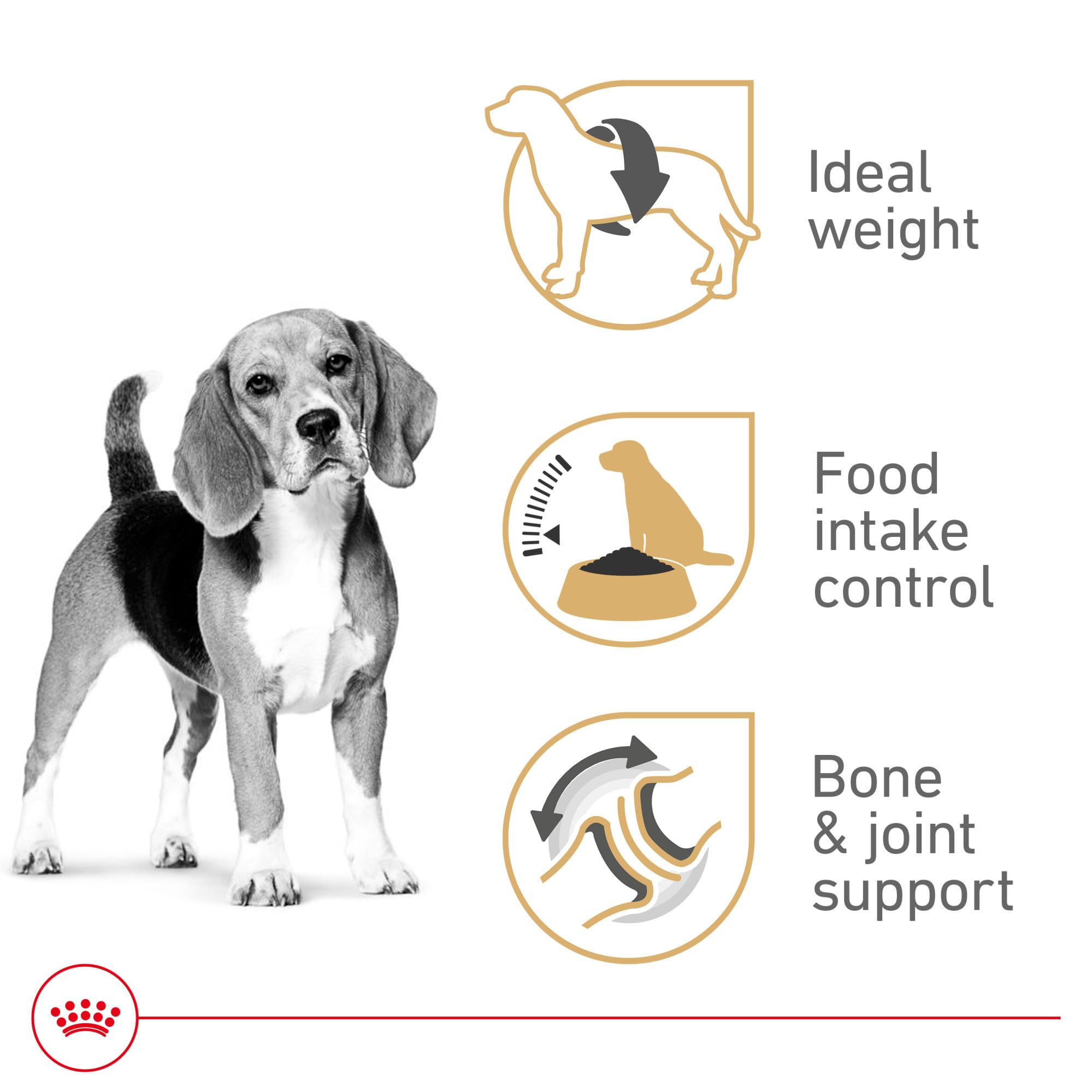 Royal Canin Beagle Adult Dry Dog Food, 6 lb bag