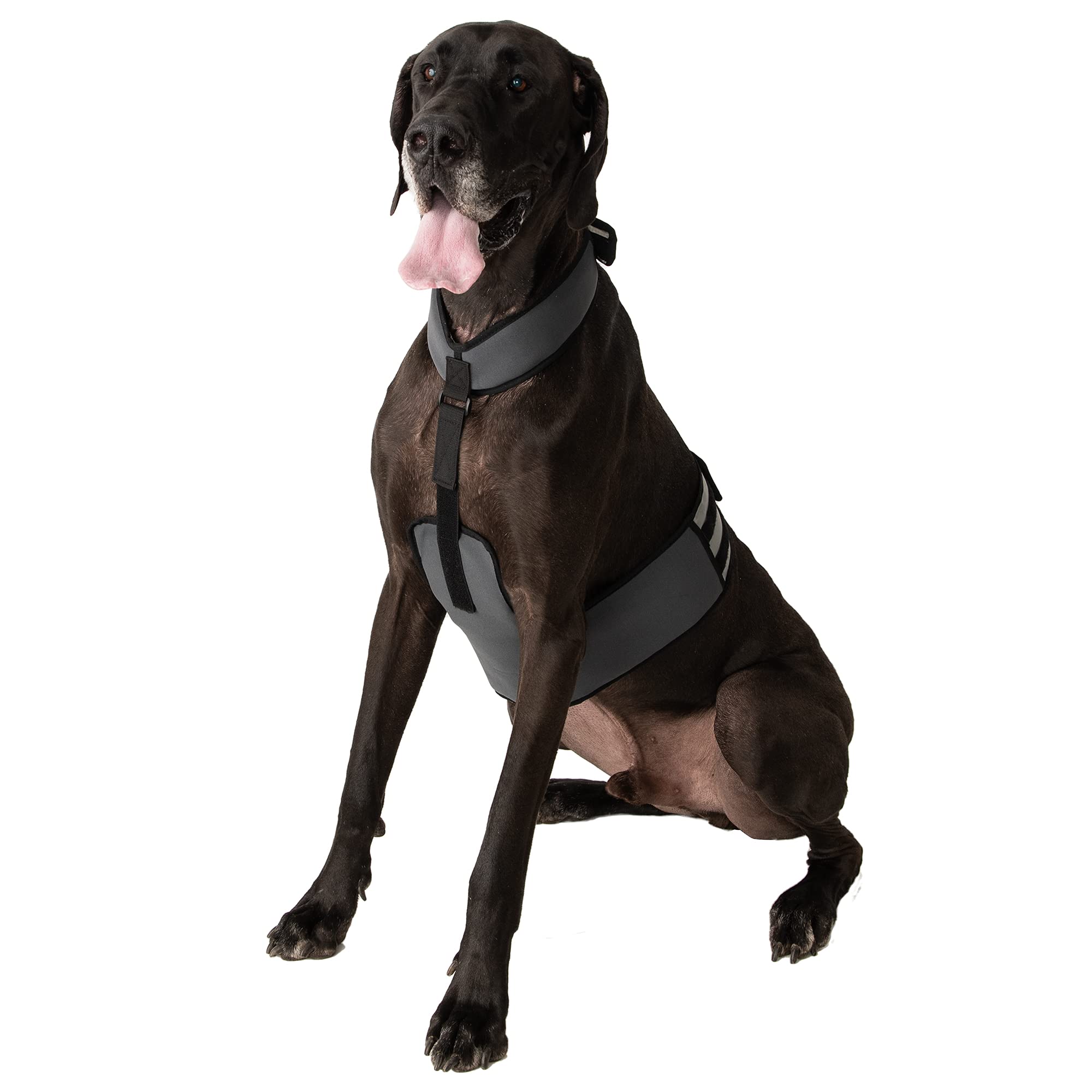 CoolerDog Dog Cooling Vest & Collar - Ice Vest for Dogs, XL, Nylon