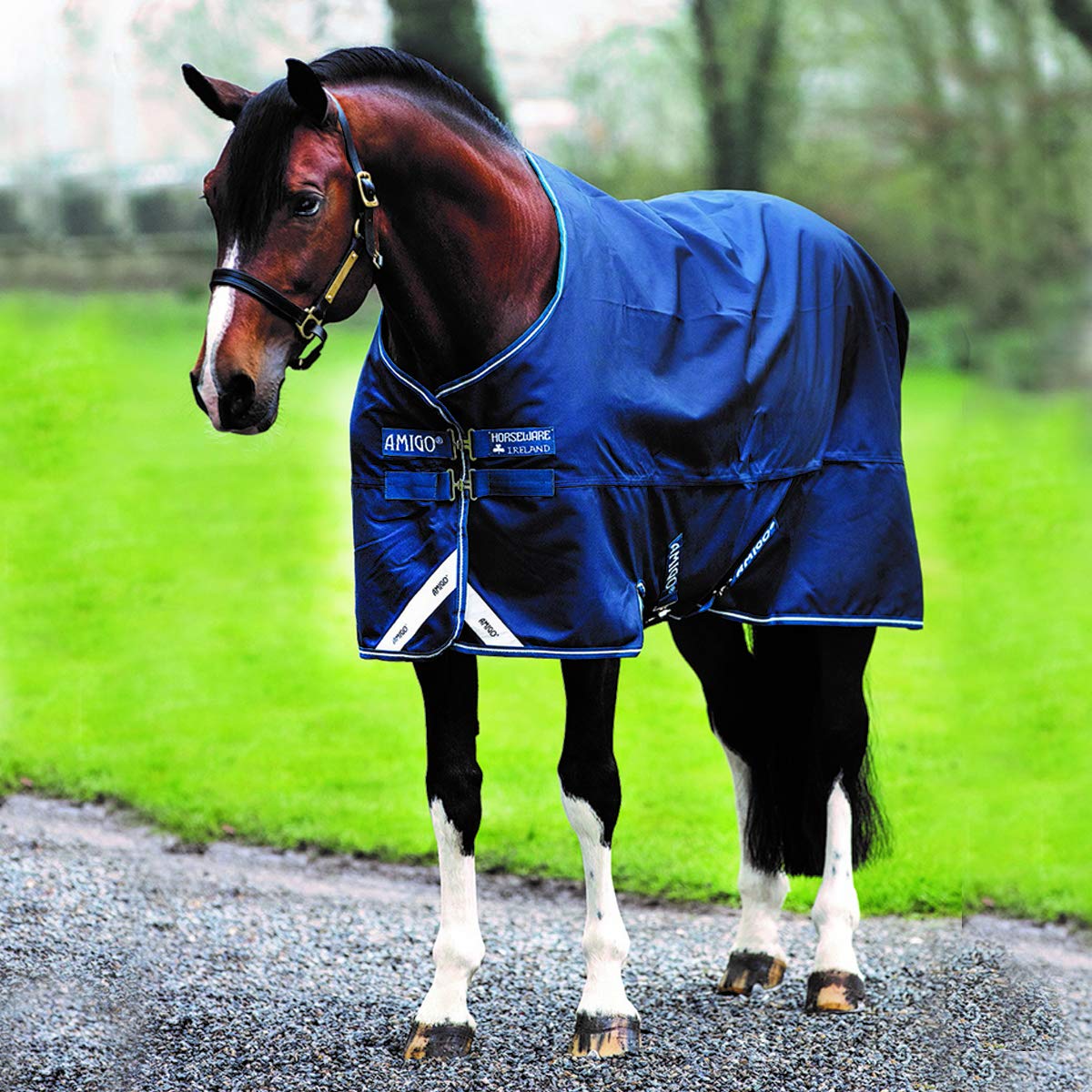 Horseware Amigo Bravo 12 Original Turnout (0g Light)