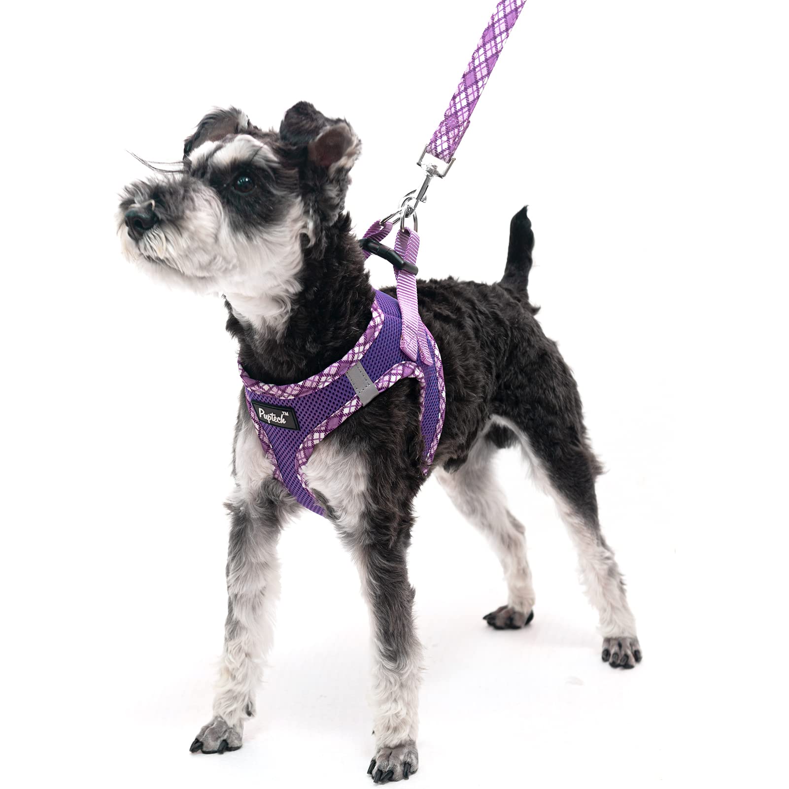Pupteck Dog Harness And Leash Set For Small Medium Dogs No Pull Step-In Soft Mesh Puppy Cat Vest Harnesses Reflective At Night, Purple Xs