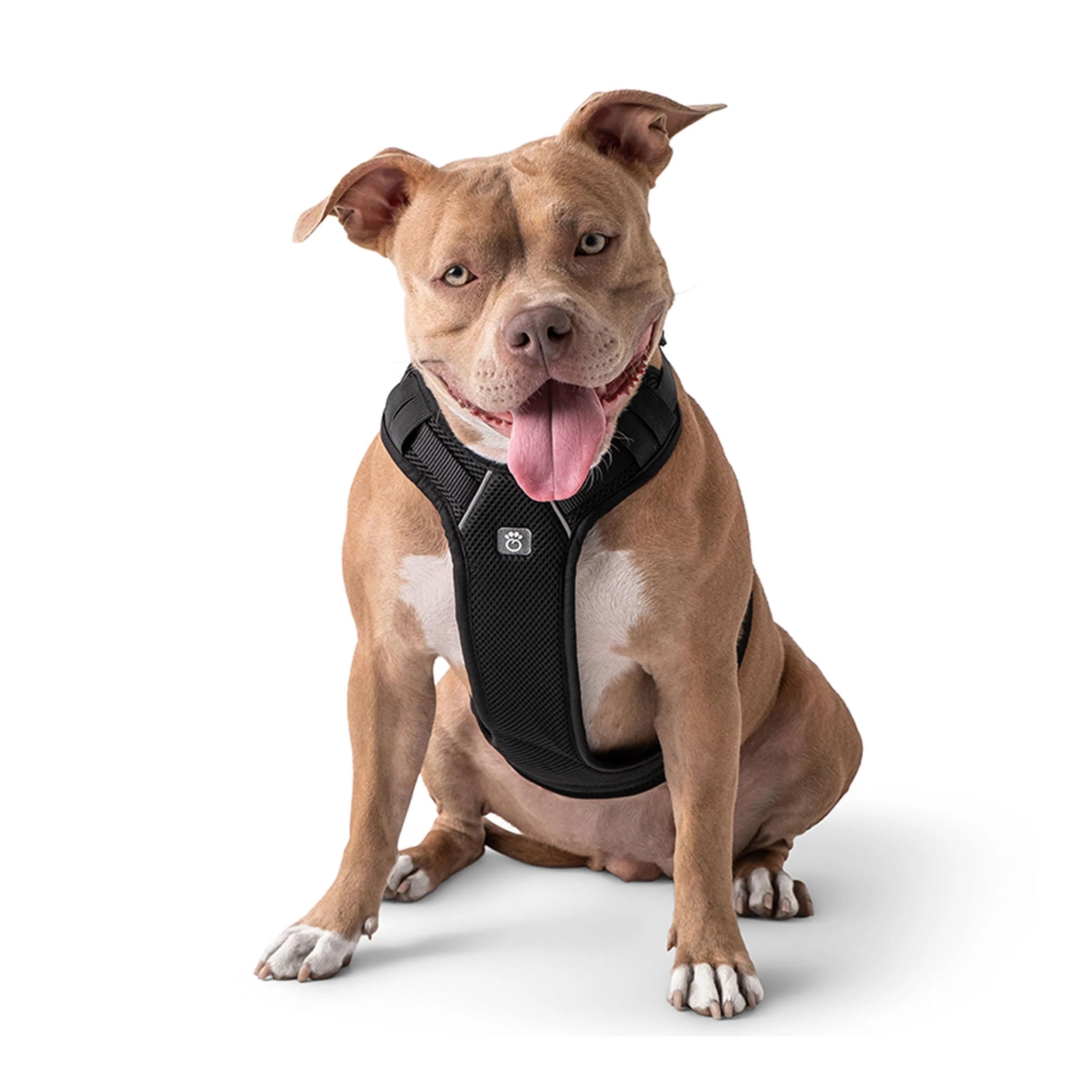 Gf Pet Travel Harness - Black - Xl