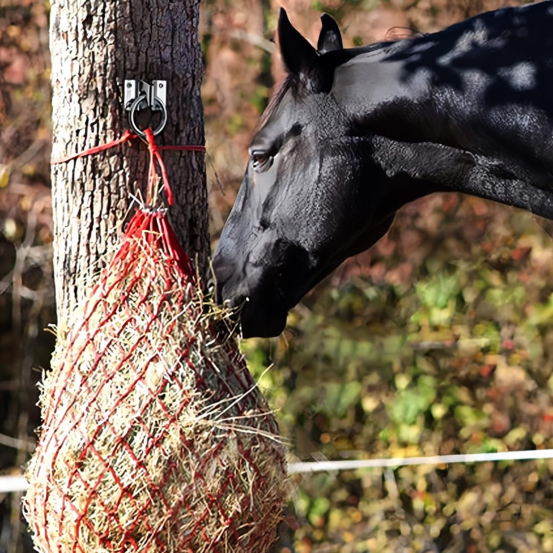 Gaitwin Cross Tie Ring For Horses, Block Tie Hitching Ring With Screws For Horse Stall Stable, Wall Mount Tie Down Horse Barn Su