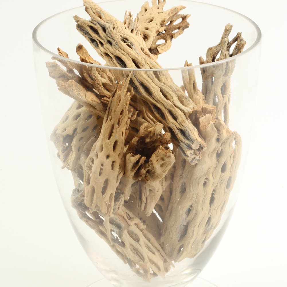 Koyal Wholesale Natural Cholla Wood Aquarium Branches, Airplants Decor, Reptile Perch, Natural Home Decoration, (2Lb Bag)