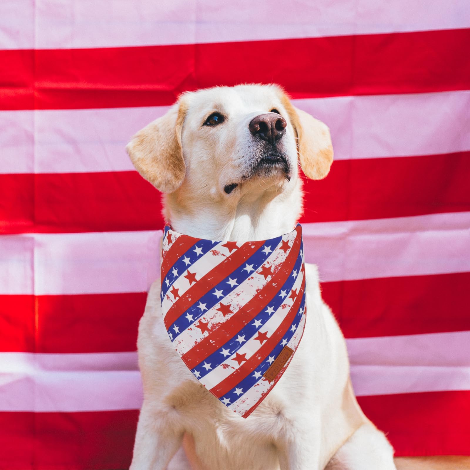 Ptdecor American Flag Dog Bandana Striped Stars Patterns, 4Th Of July Pet Scarf Reversible Triangle Patriotic Bandanas For Large